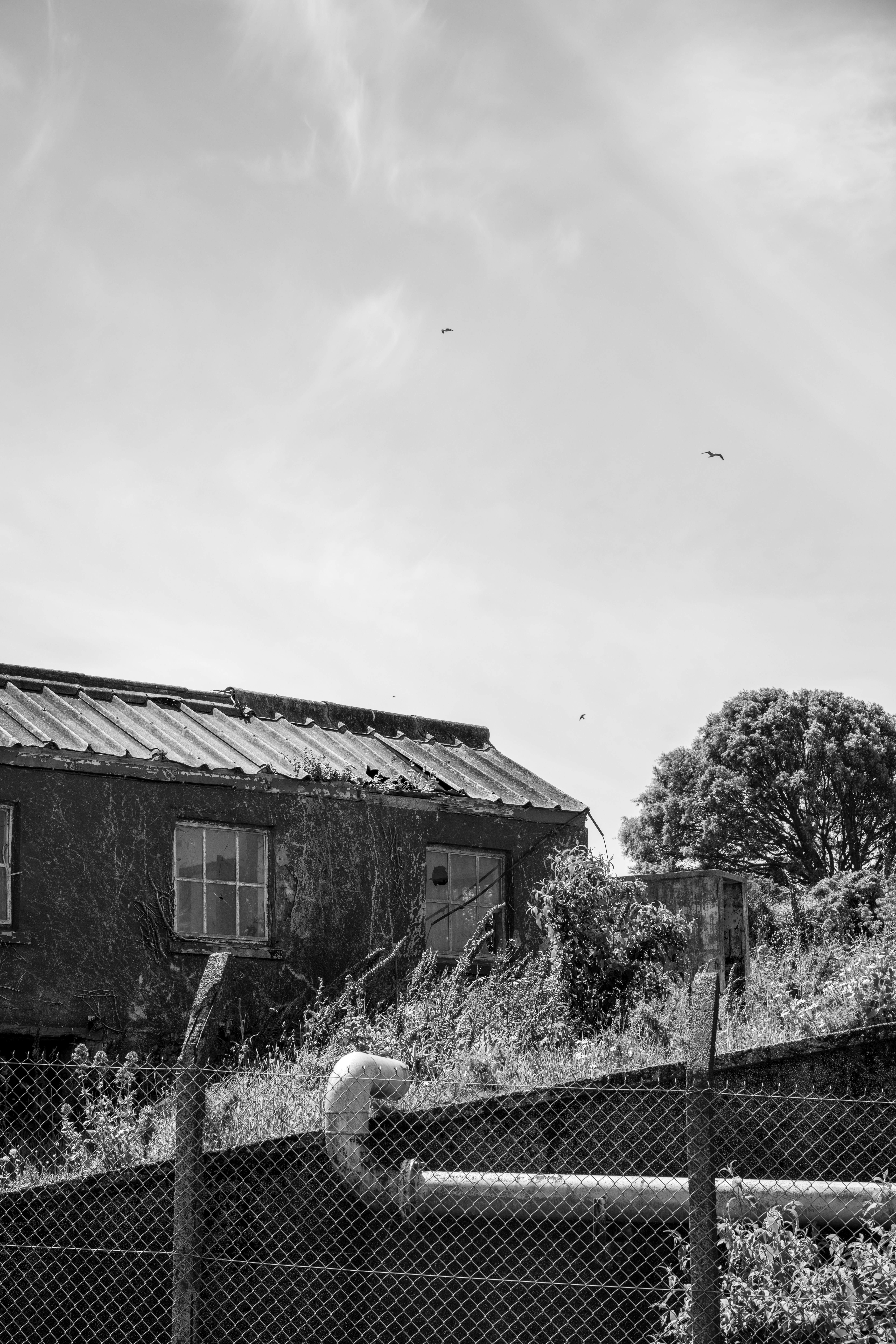 Photo by aurelietack