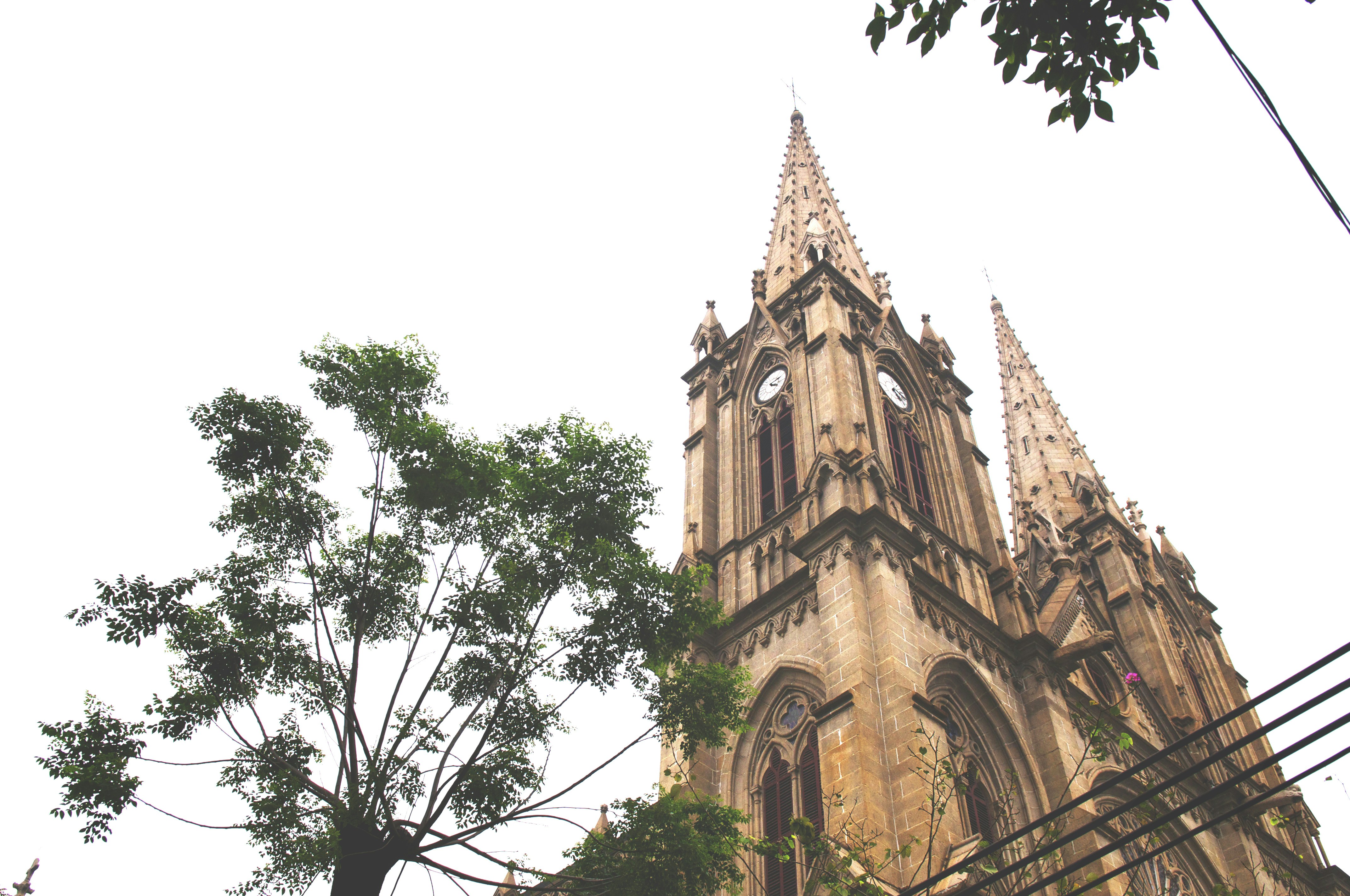 Photo by tommaomaoer