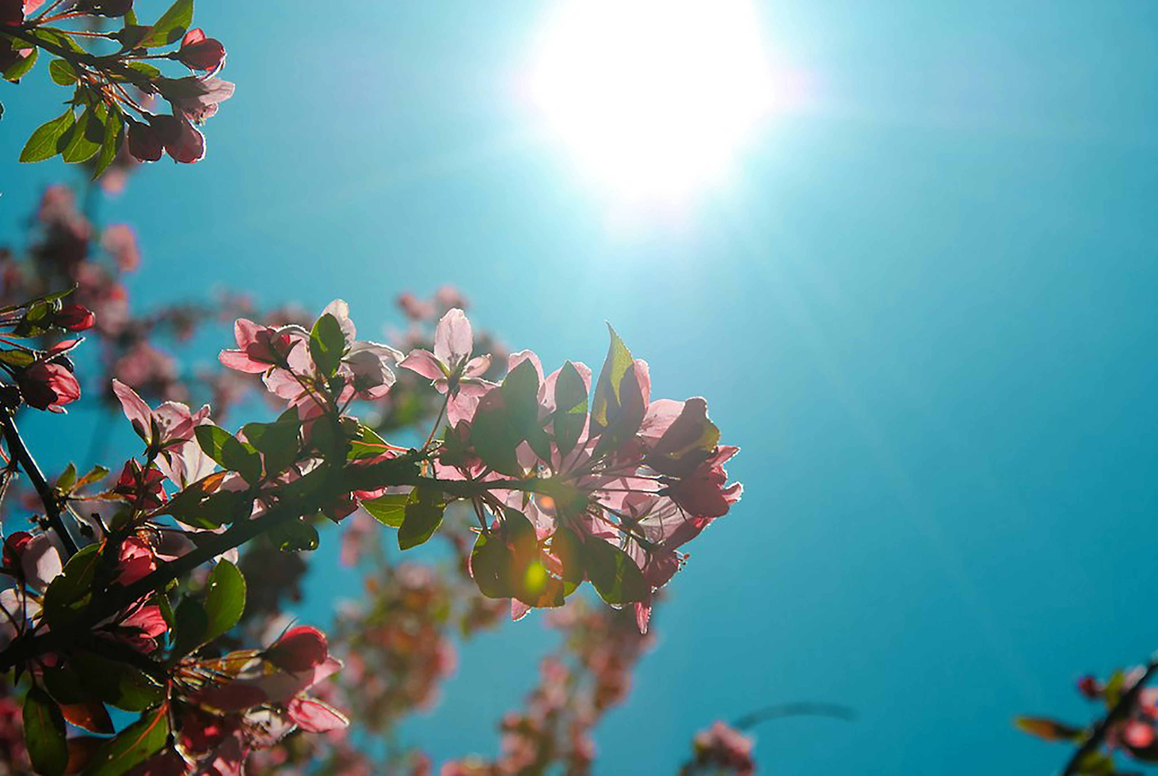 Seasonal HVAC maintenance checklist for spring and fall service