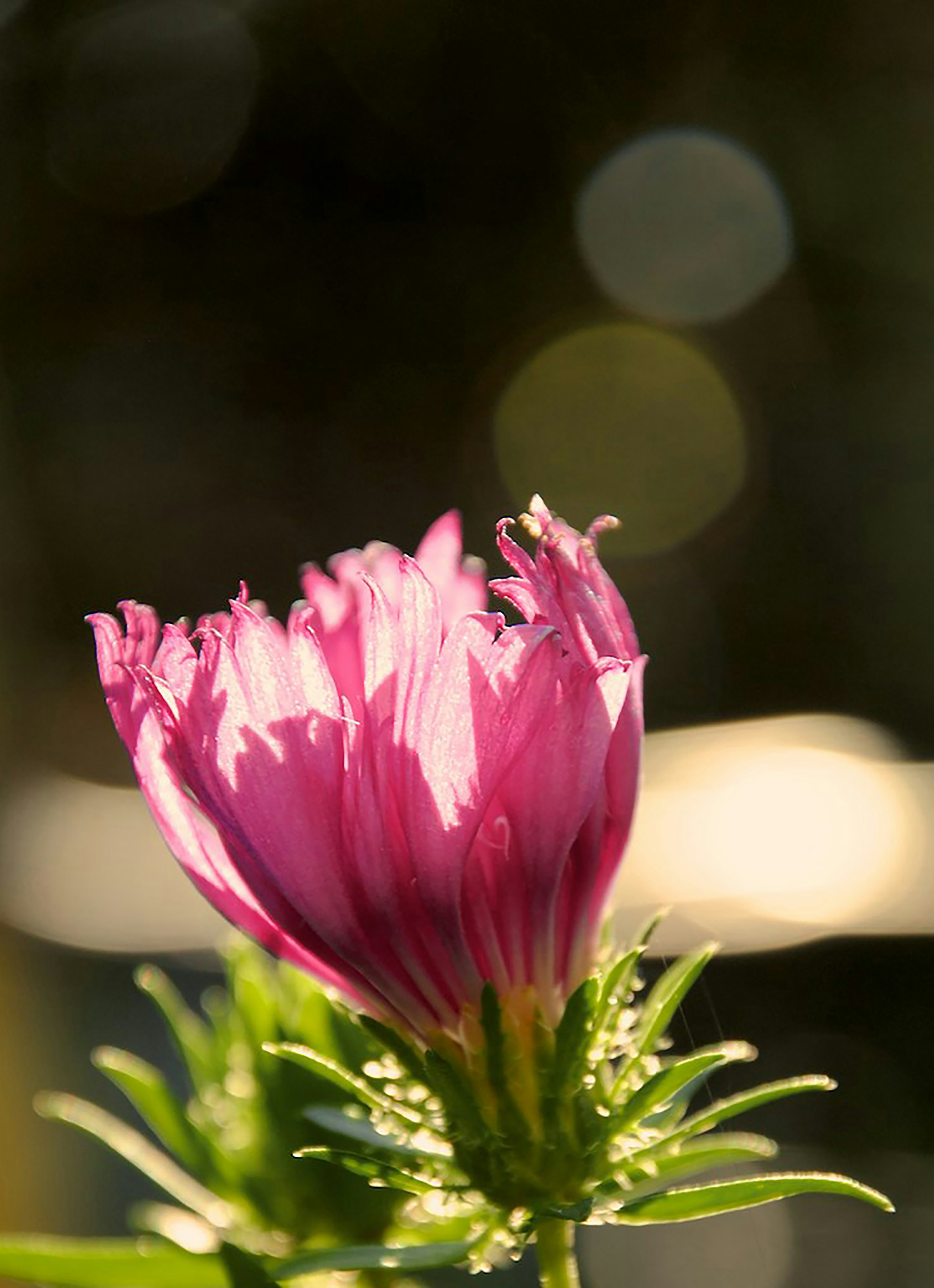 Photo by sixthcitysarah