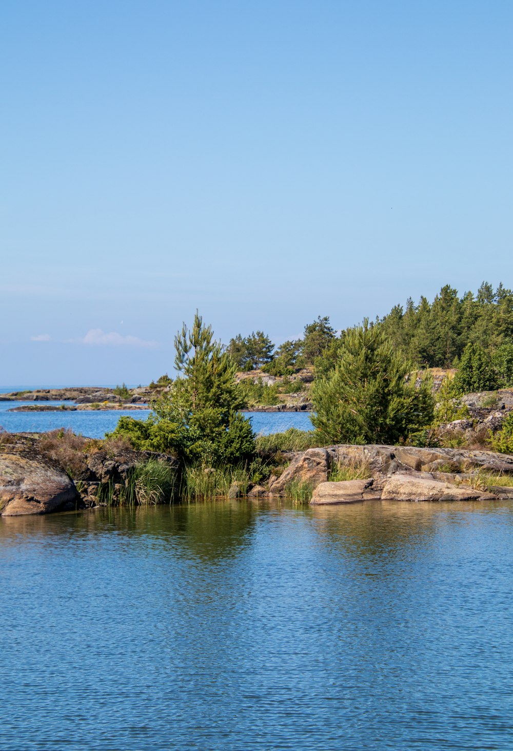 alberi verdi vicino allo specchio d'acqua durante il giorno