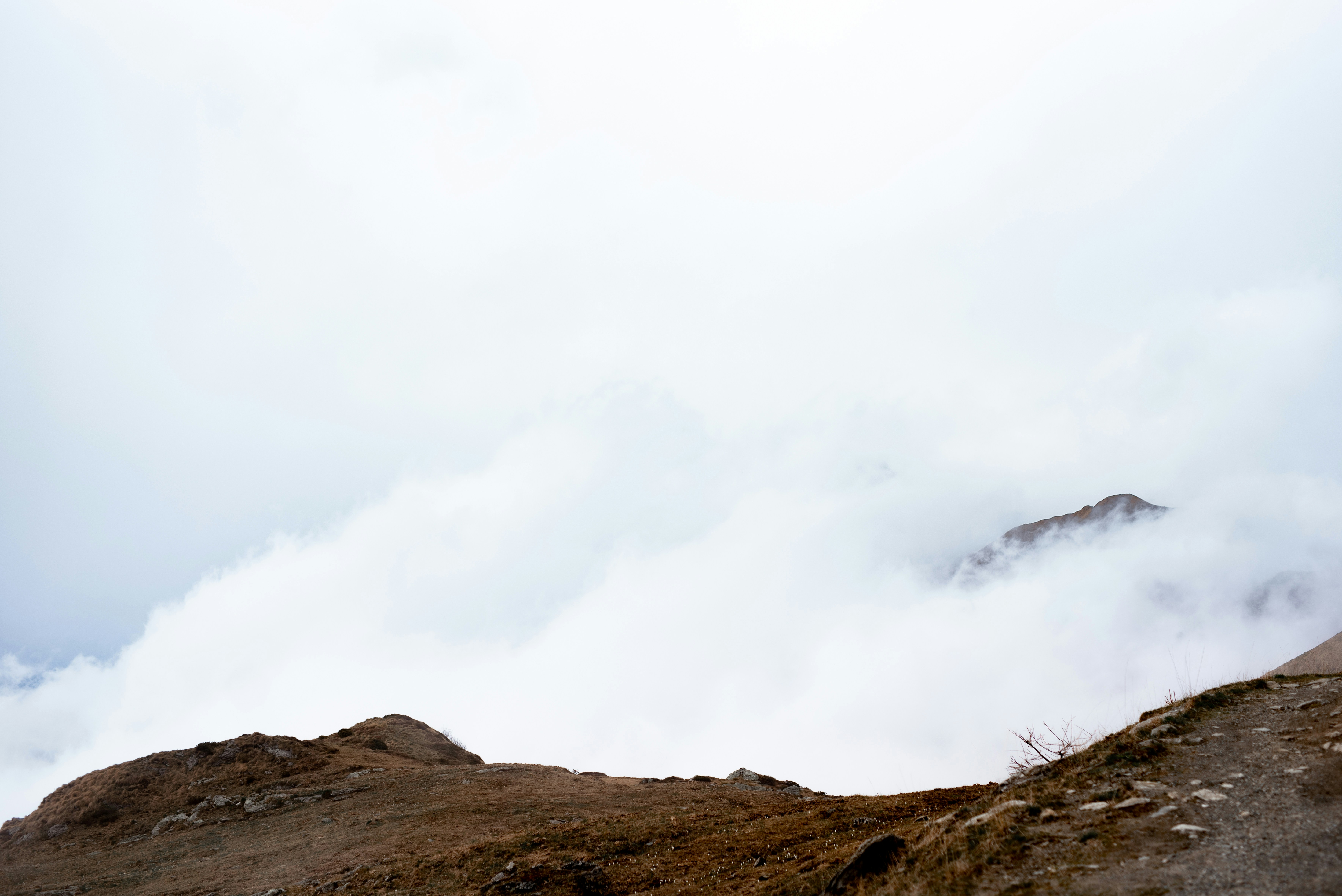 Photo by lauraadaiphoto