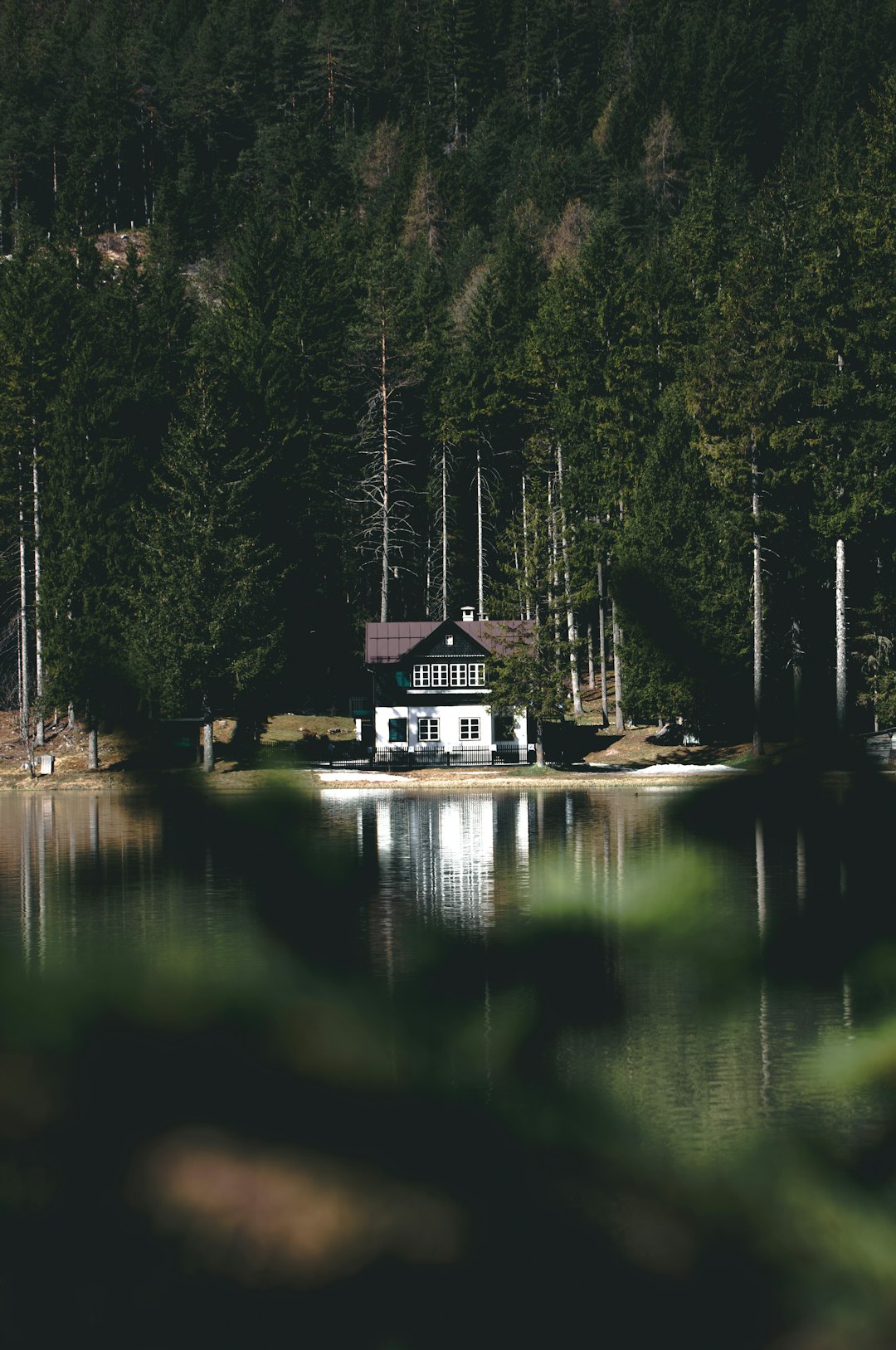 white and brown house near lake surrounded by green trees during daytime