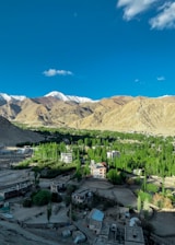green trees near mountain under blue sky during daytime