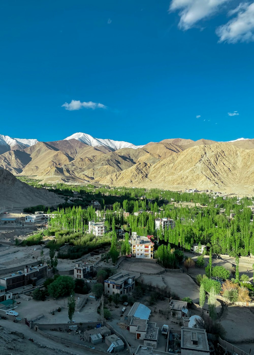 green trees near mountain under blue sky during daytime