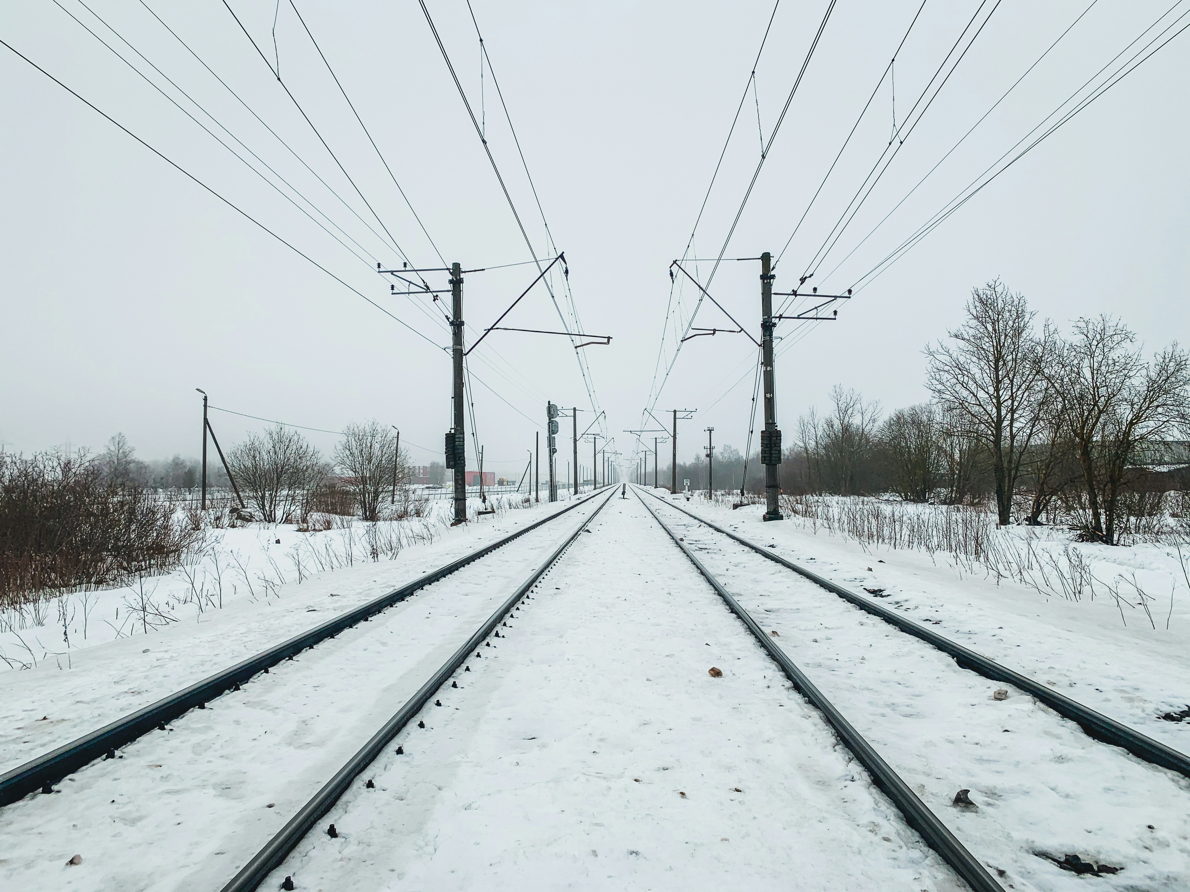 Railway tracks leading into mist, symbolising Auschwitz history