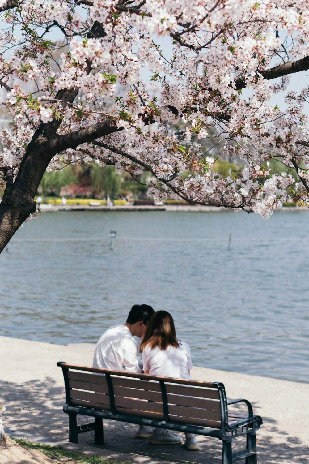 woman in white long sleeve shirt sitting on bench near body of water during daytime