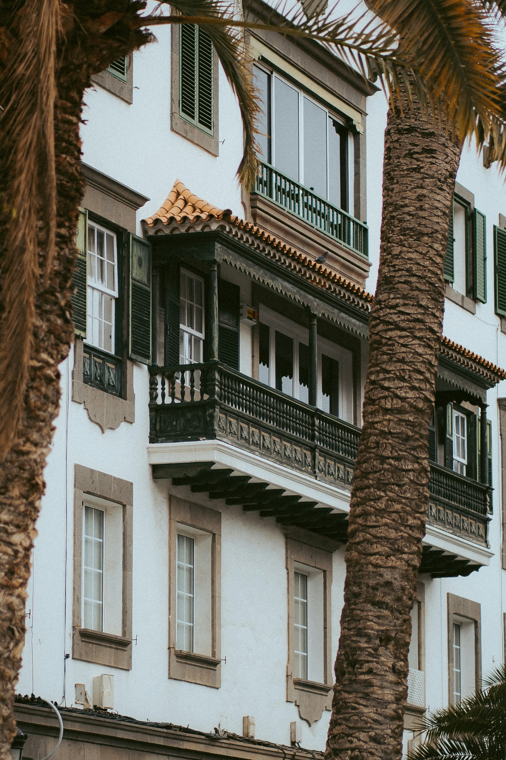 Photo by capturesbybjarne