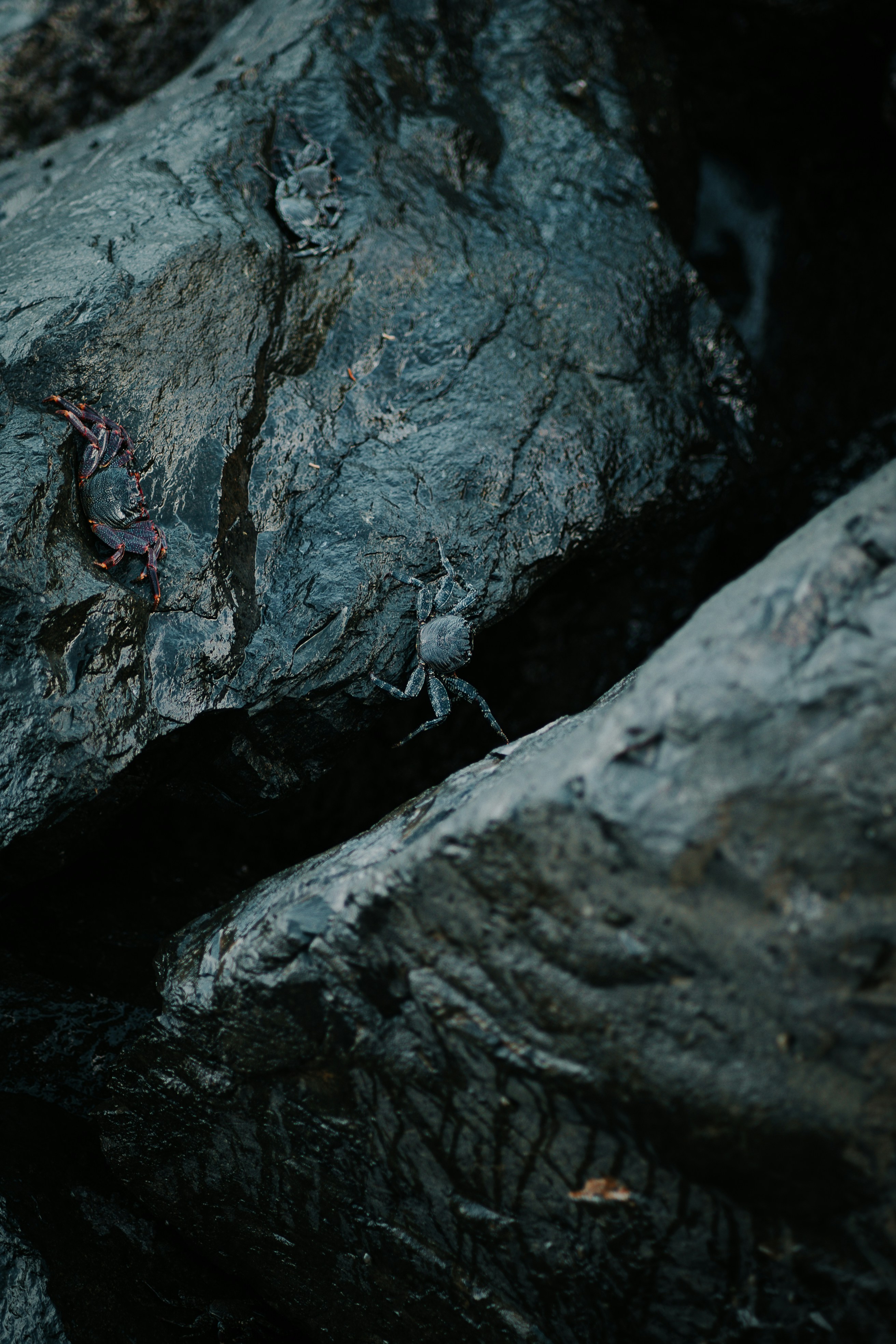 Photo by capturesbybjarne