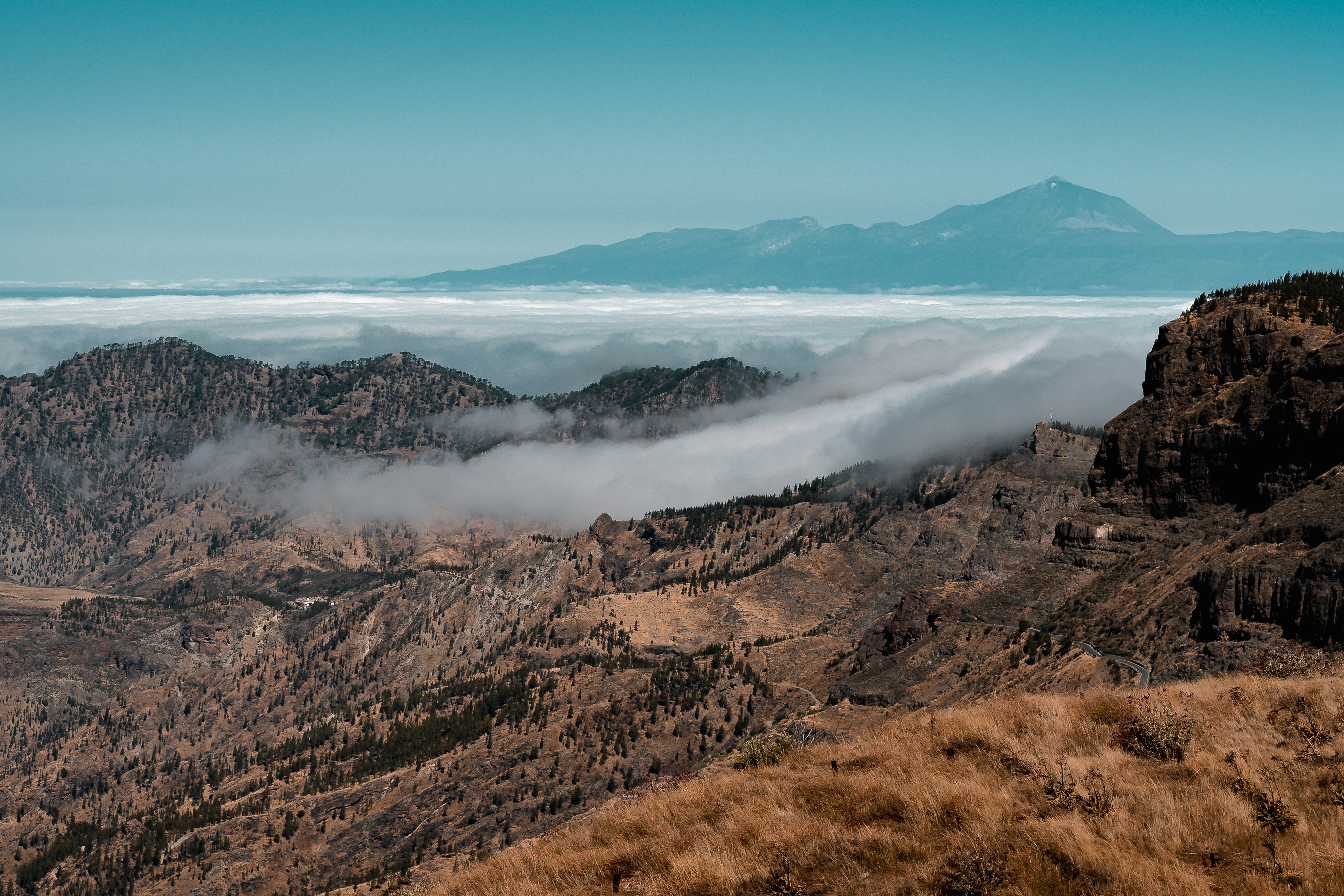 Photo by capturesbybjarne