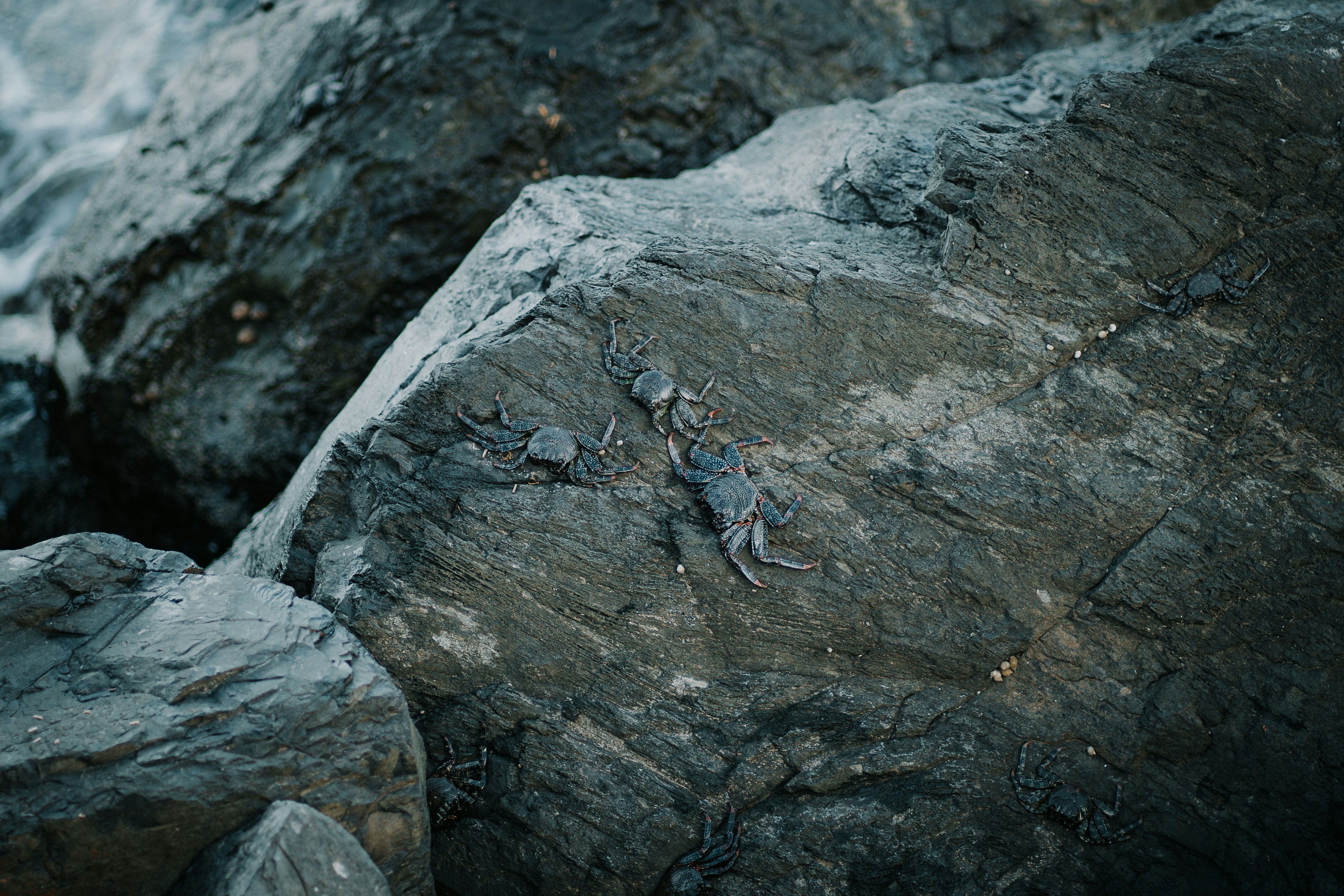 Photo by capturesbybjarne