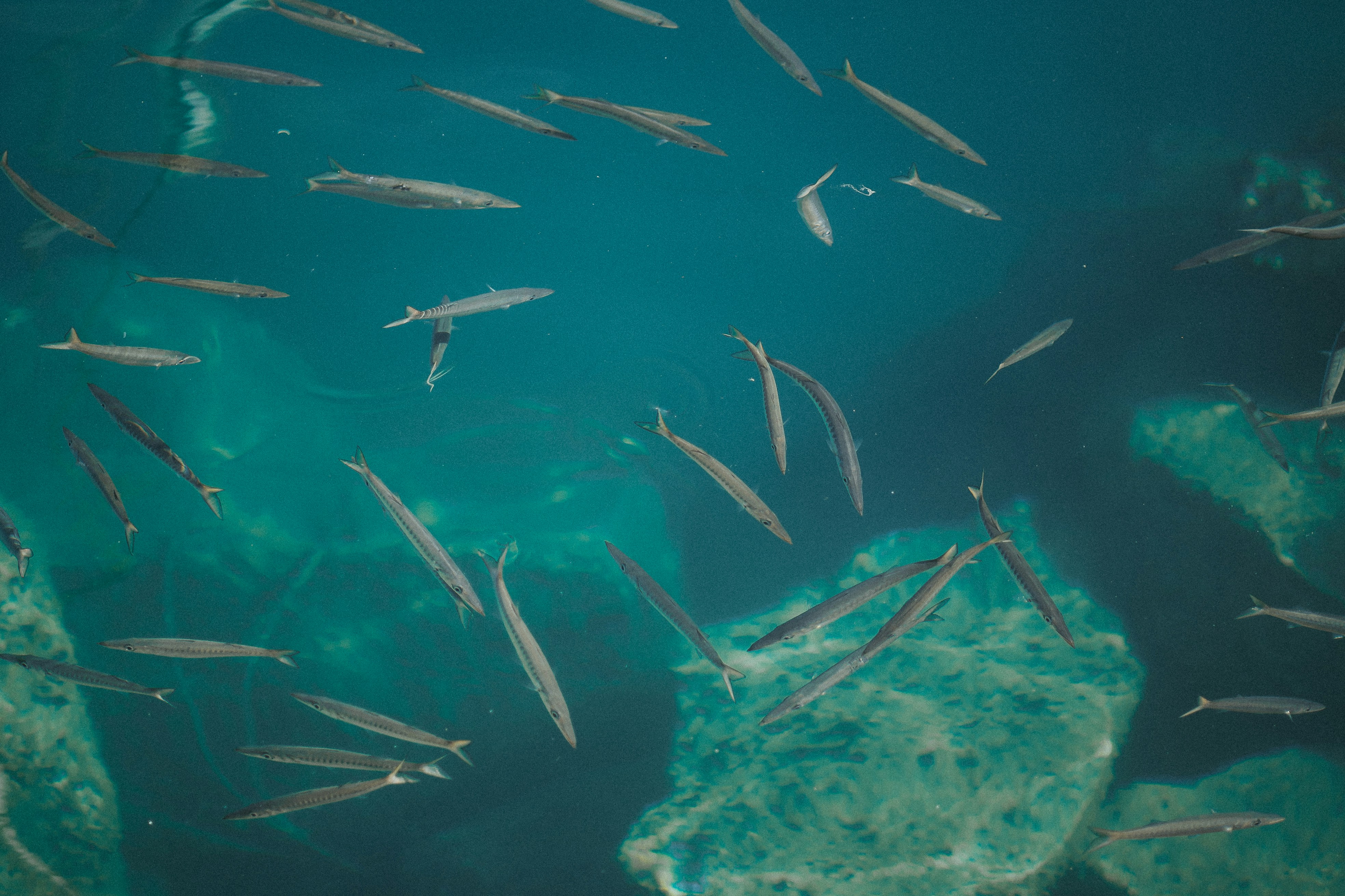 Photo by capturesbybjarne