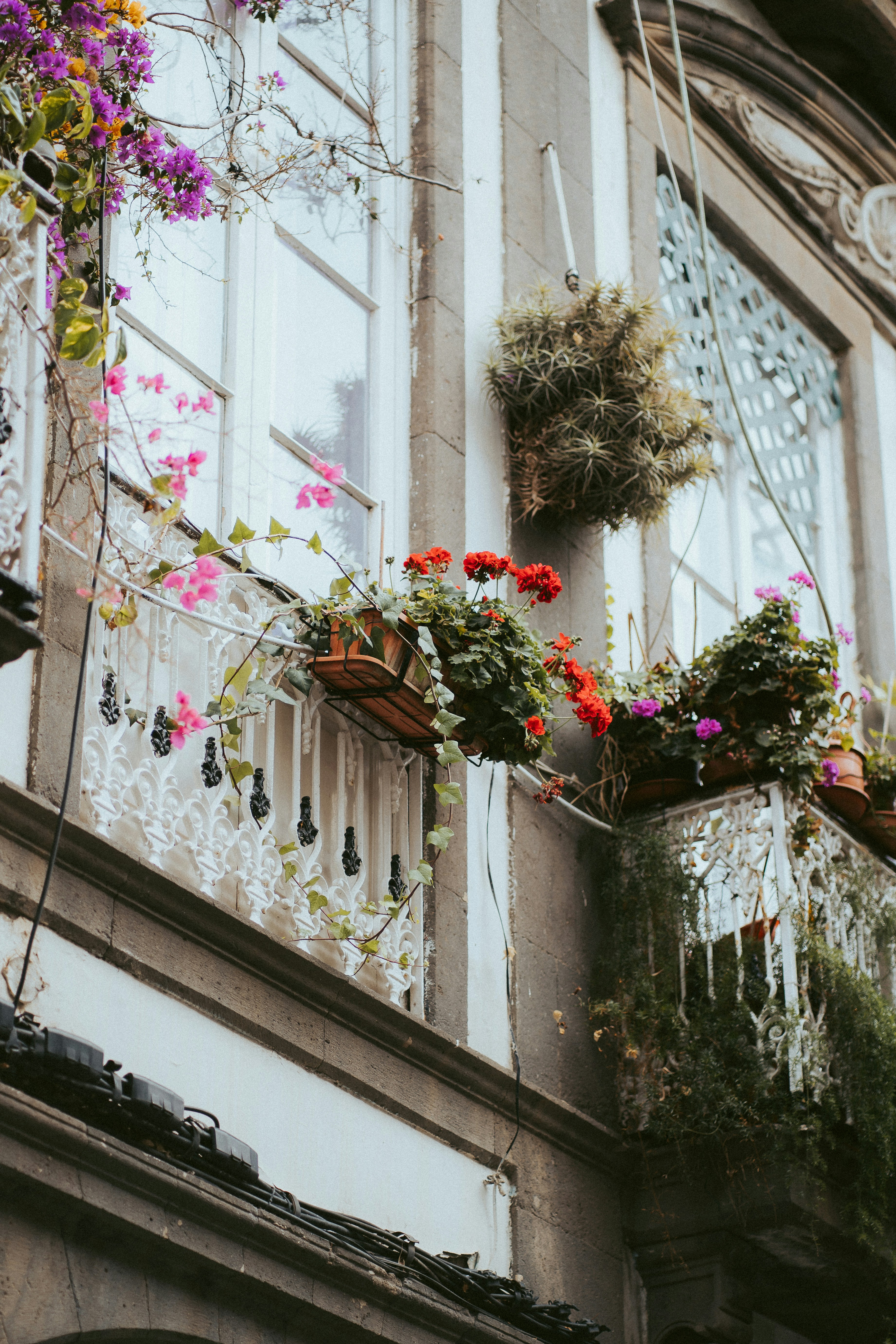 Photo by capturesbybjarne