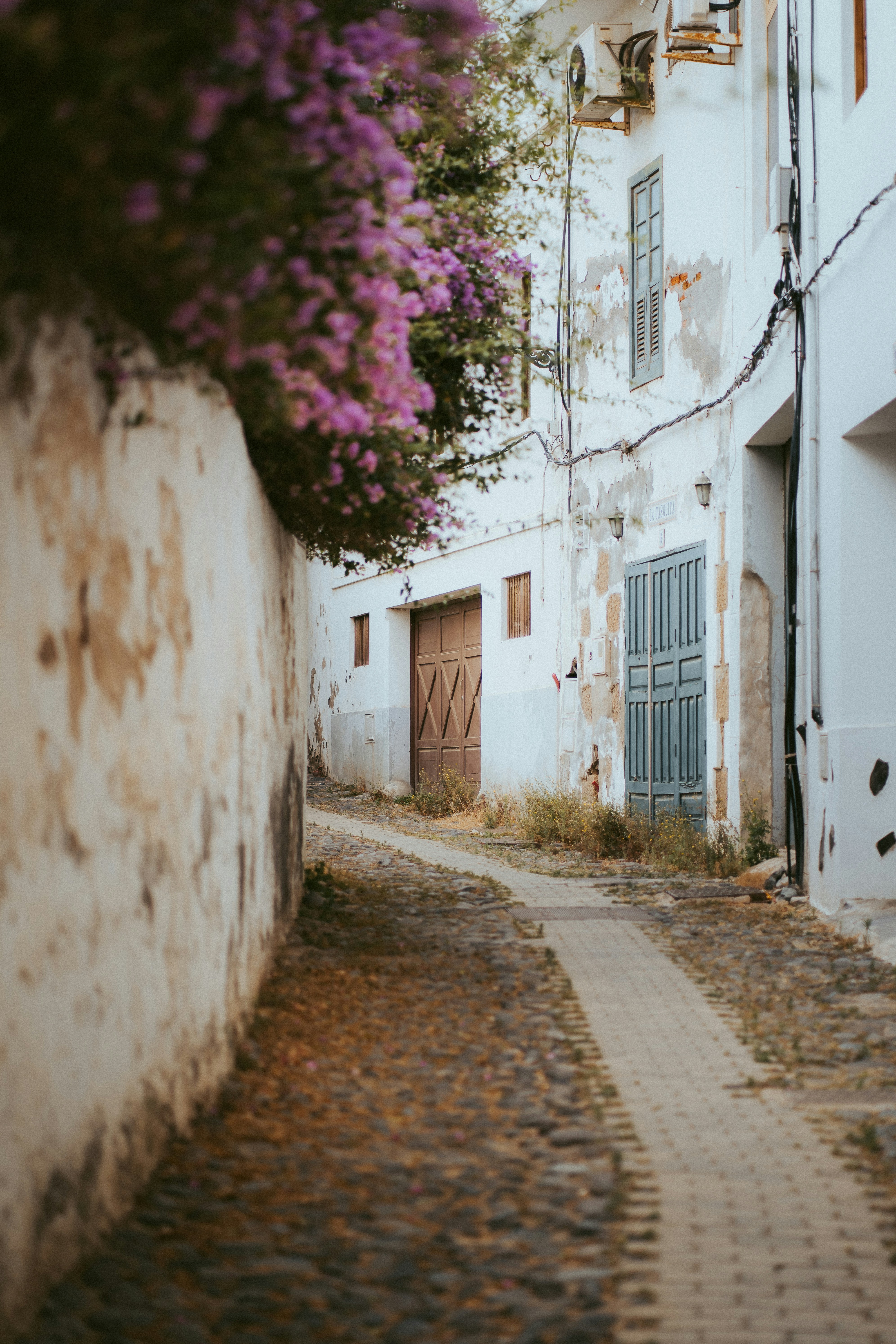 Photo by capturesbybjarne