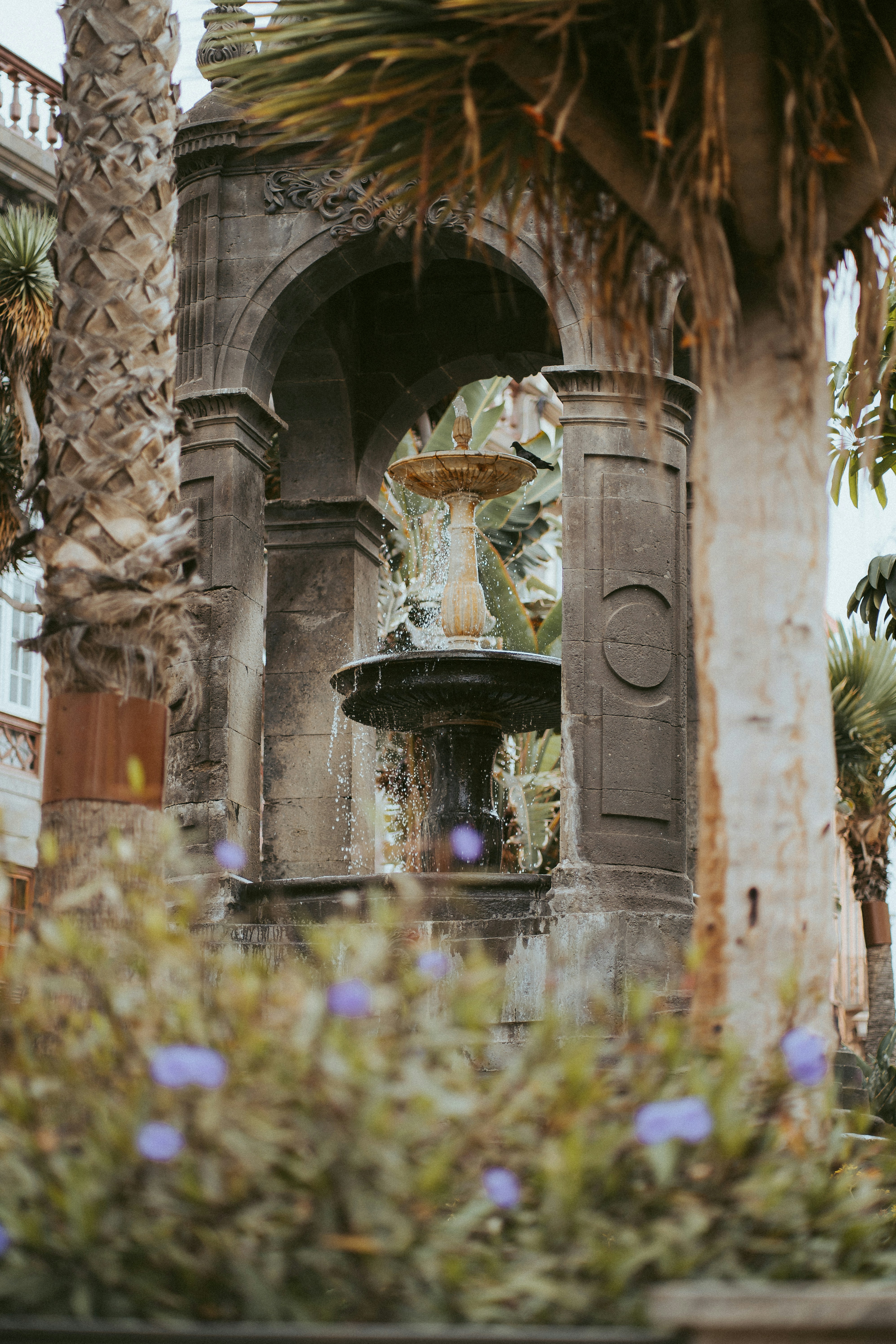 Photo by capturesbybjarne