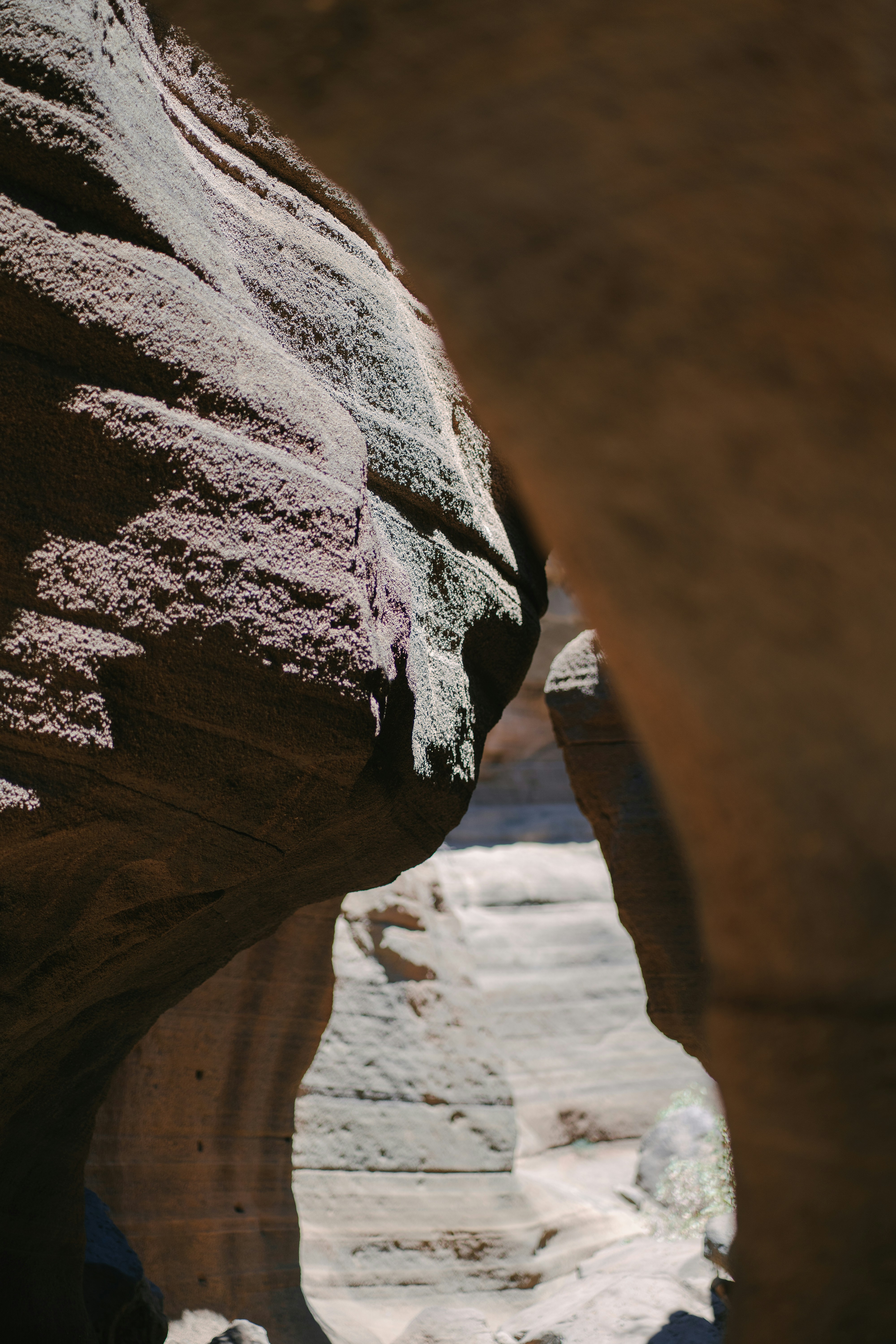 Photo by capturesbybjarne