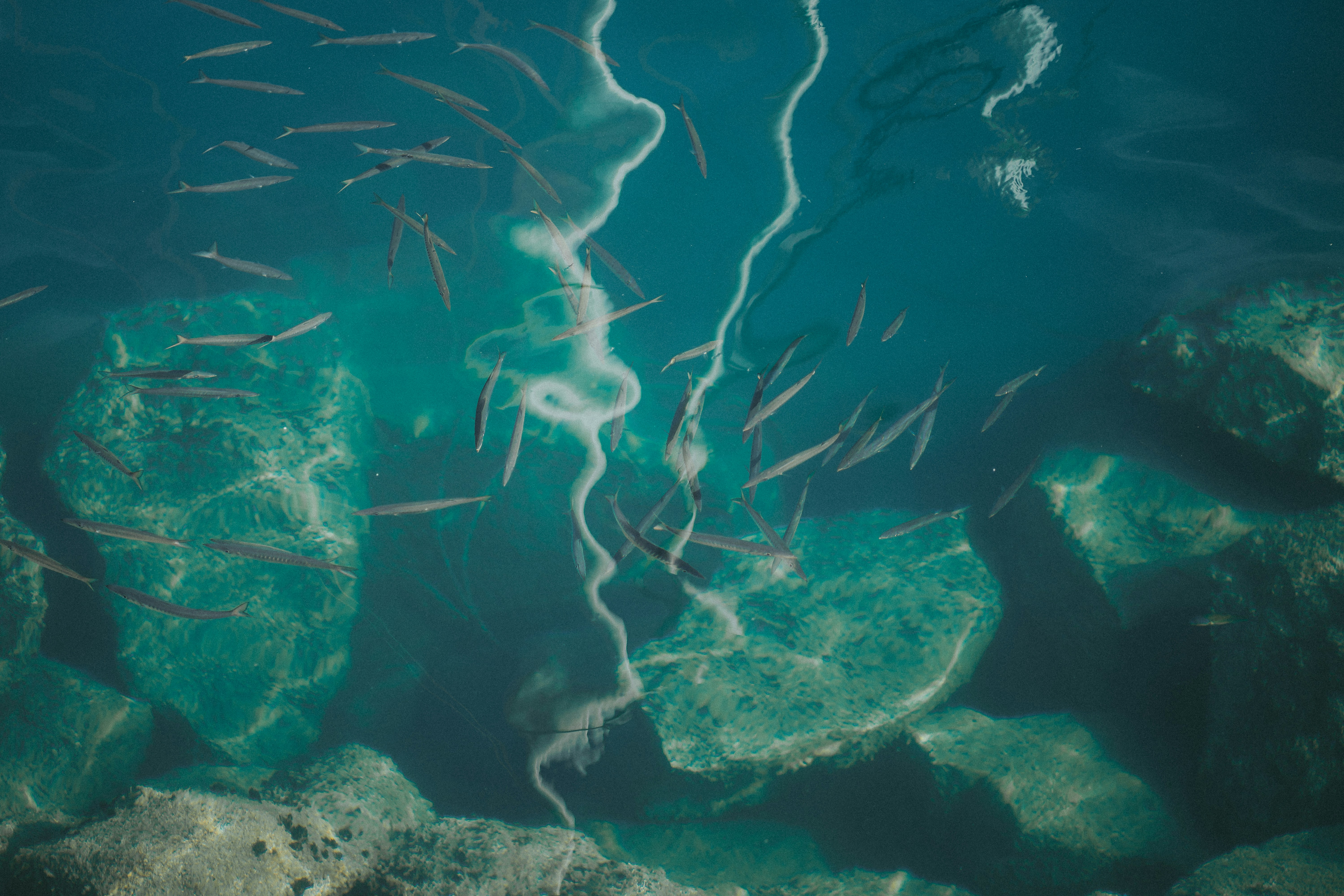 Photo by capturesbybjarne