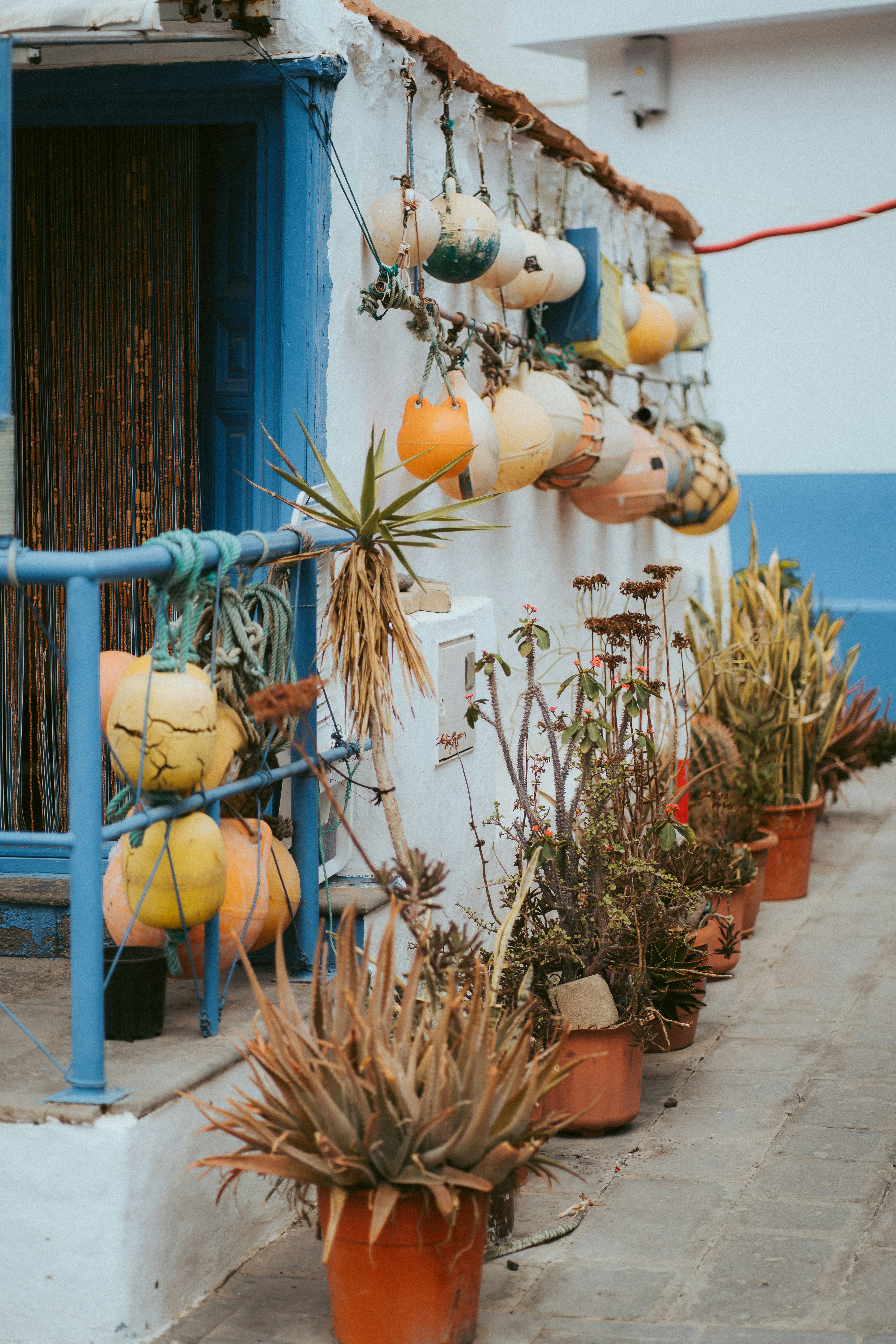 Photo by capturesbybjarne