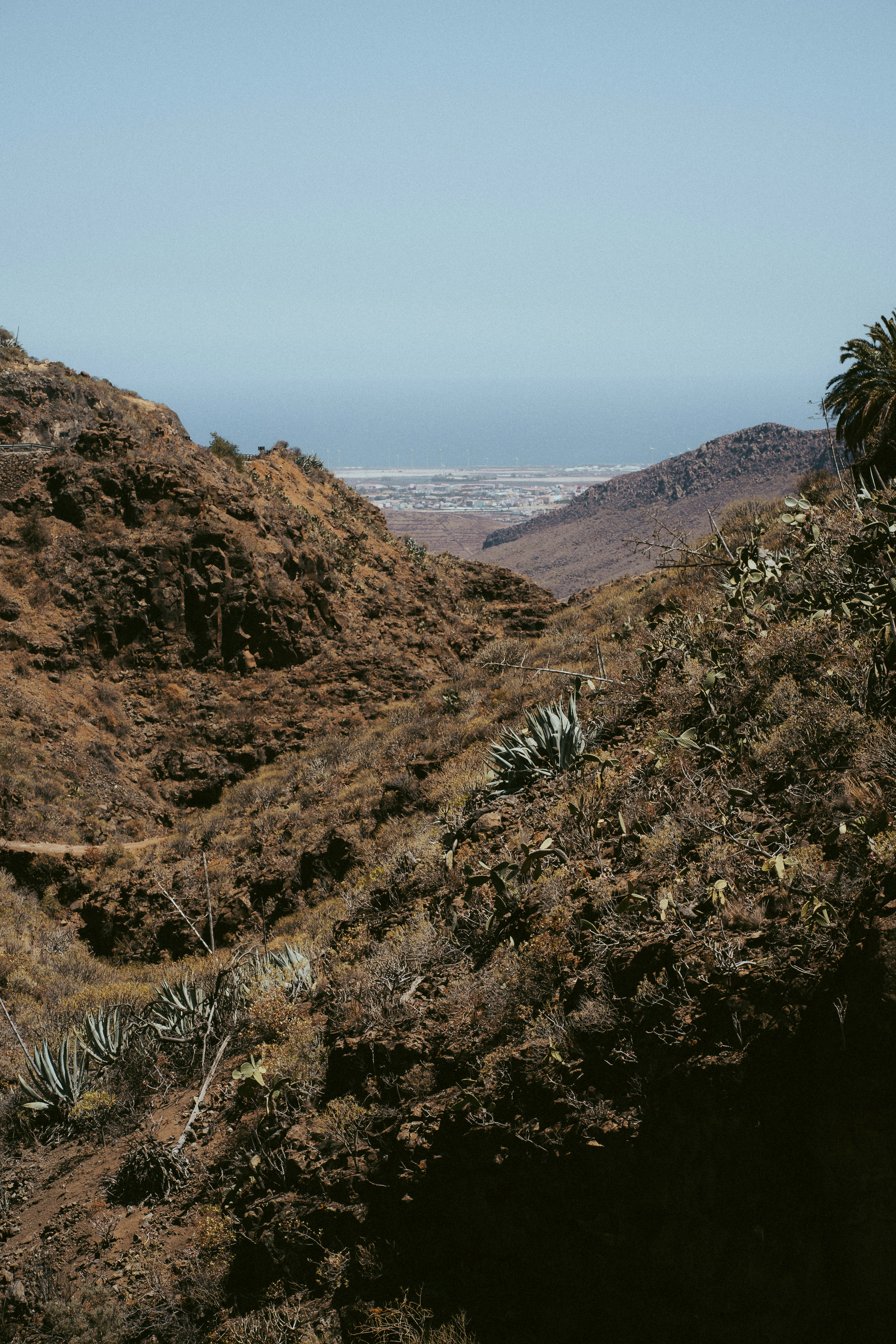 Photo by capturesbybjarne