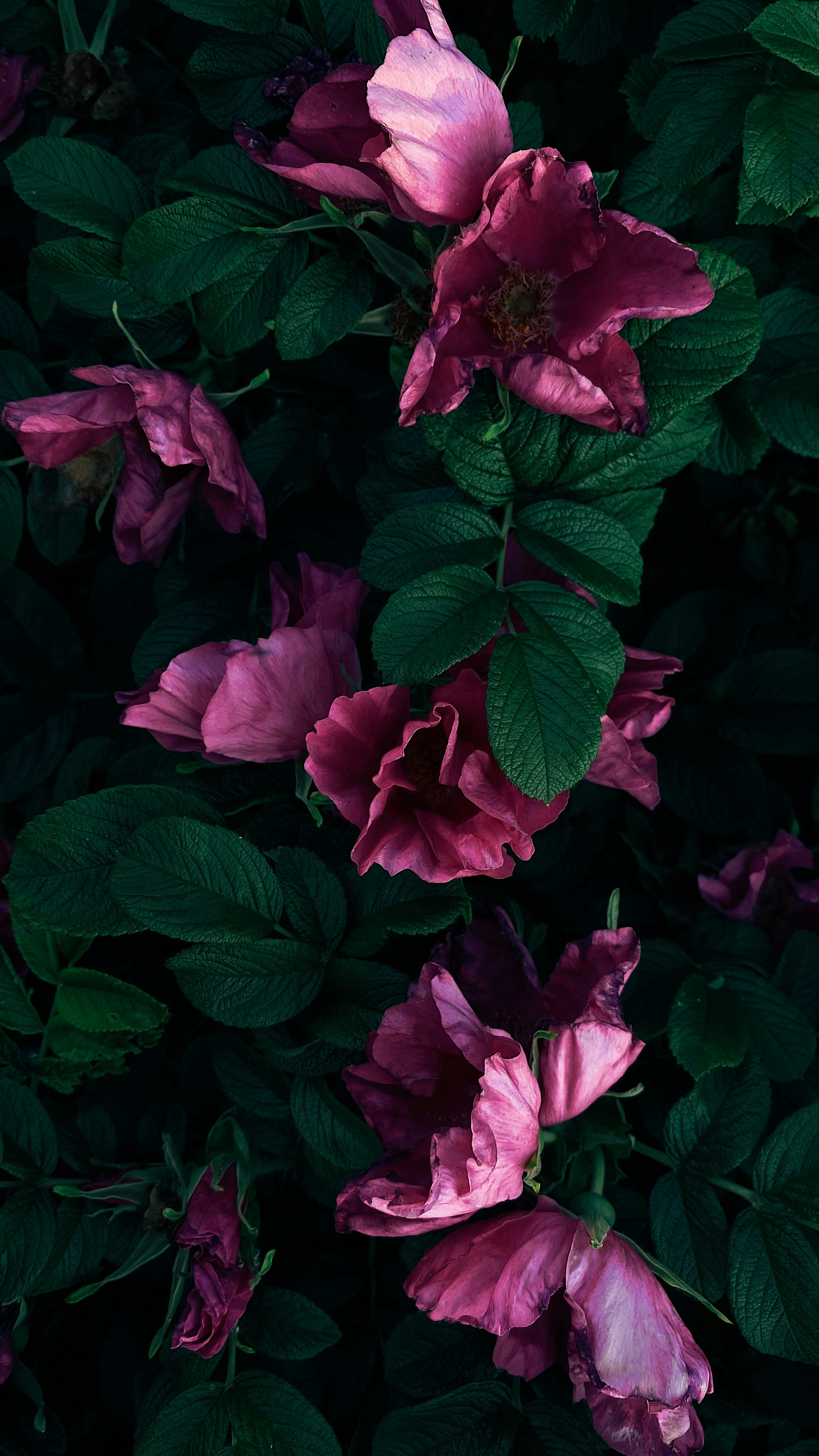 Photo by vanu3010_