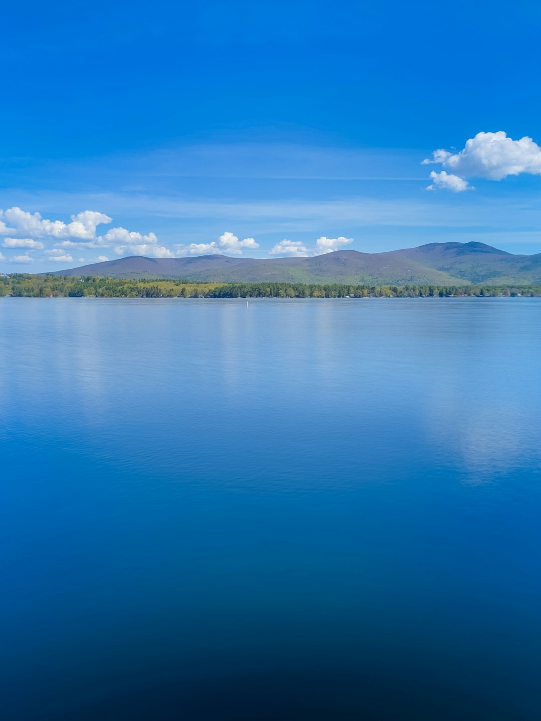 green trees near body of water under blue sky during daytime