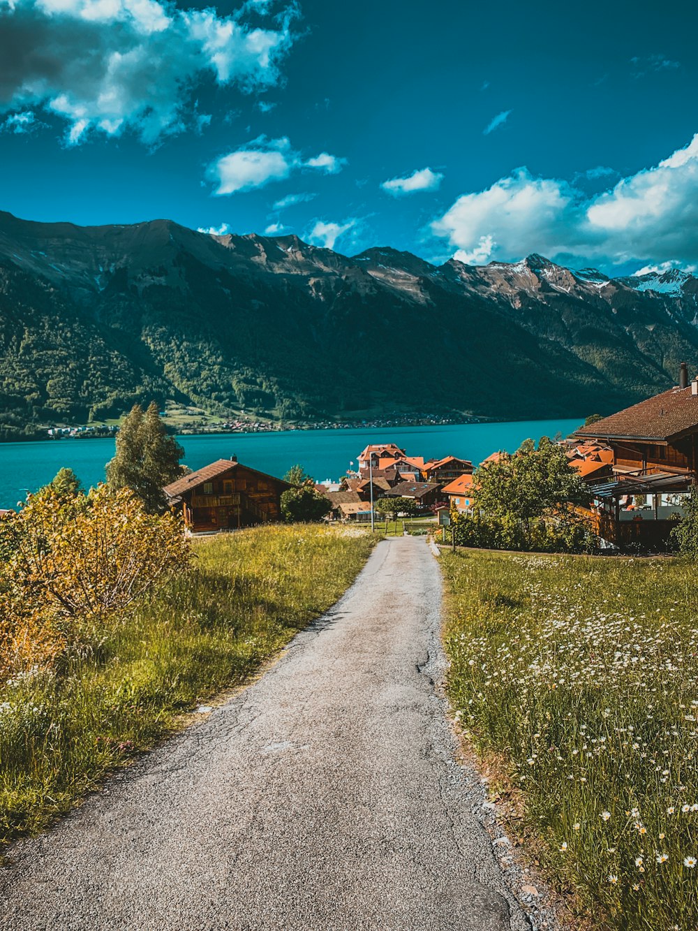 昼間の緑の草原と山の近くの白と茶色の家の写真 Unsplashで見つけるスイスの無料写真