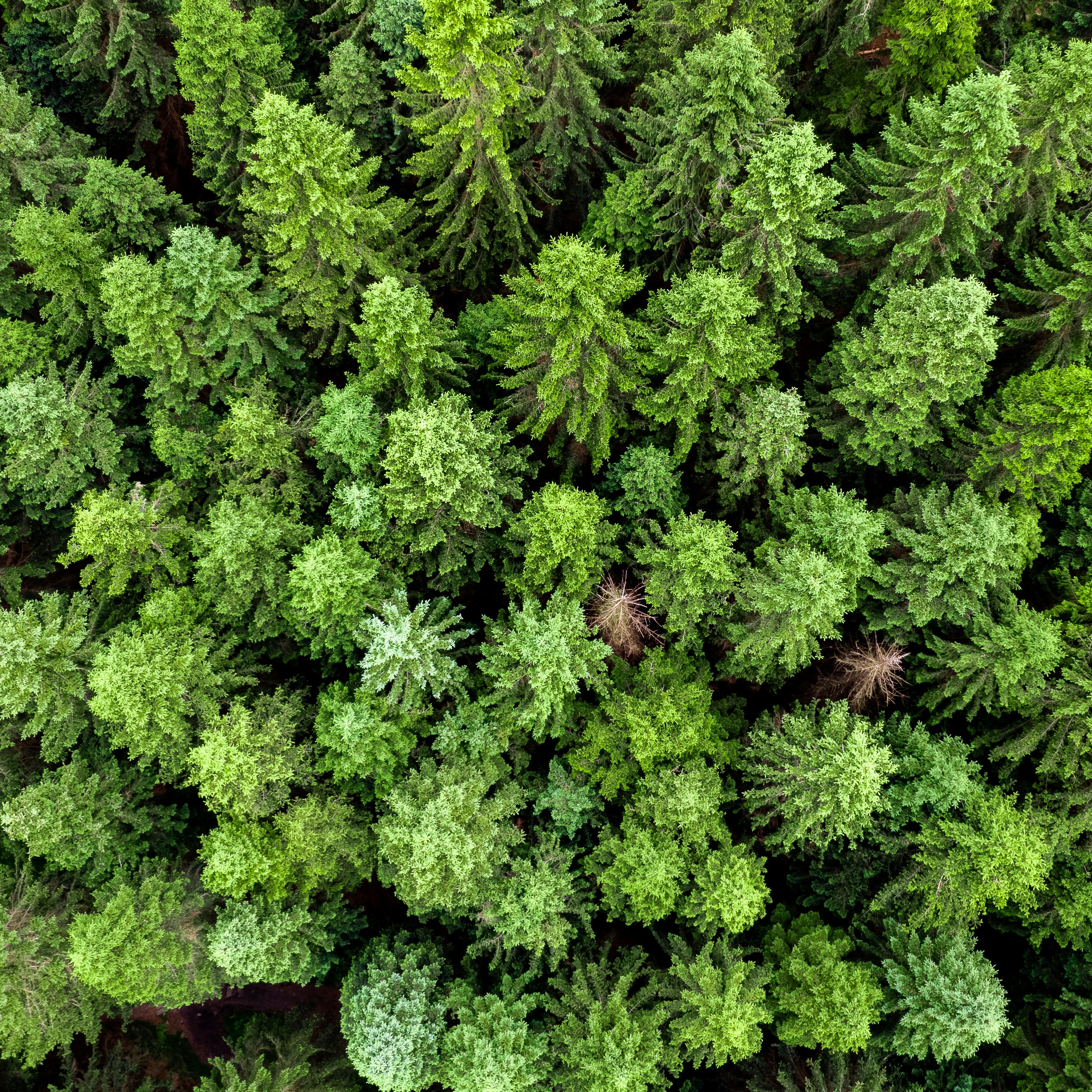 Photo by benofthenorth