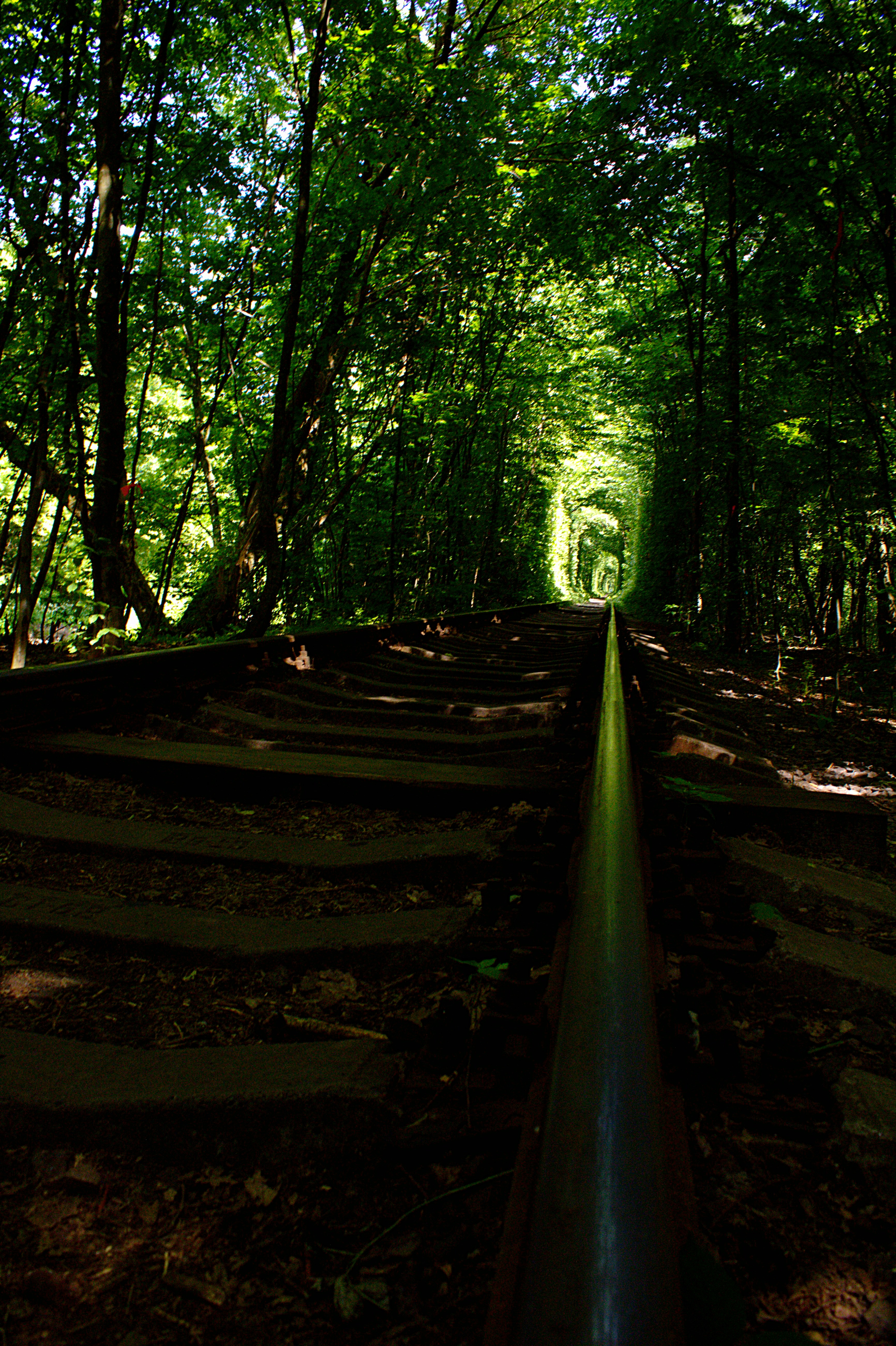 Tunnel of Love, Klevan', Rivne Oblast, Ukraine