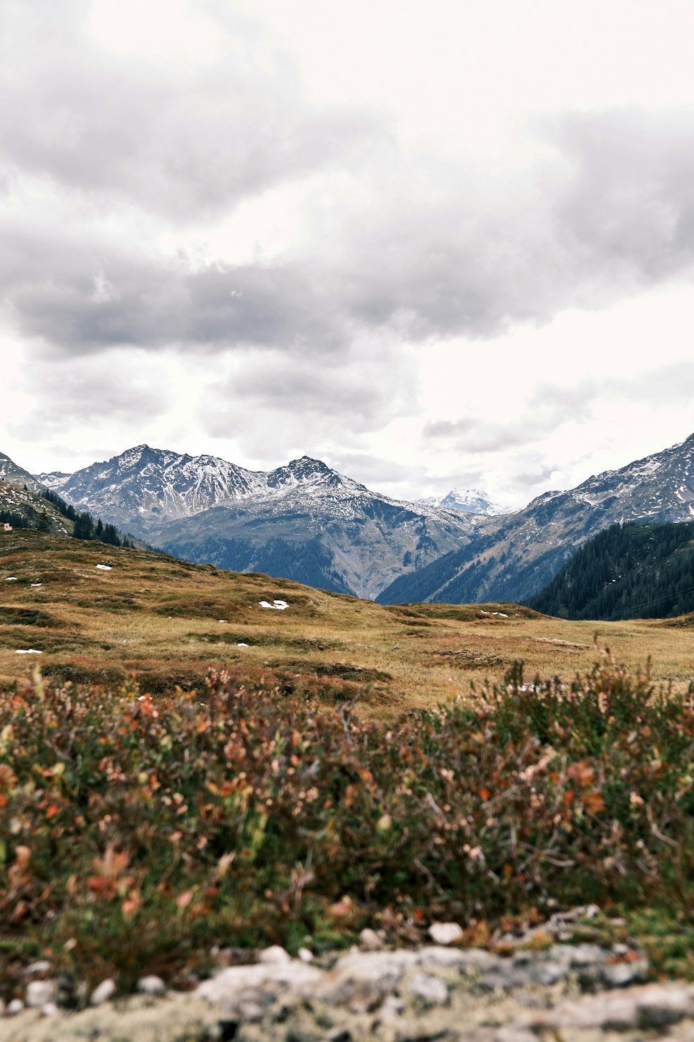 green grass field near snow covered mountain under cloudy sky during daytime