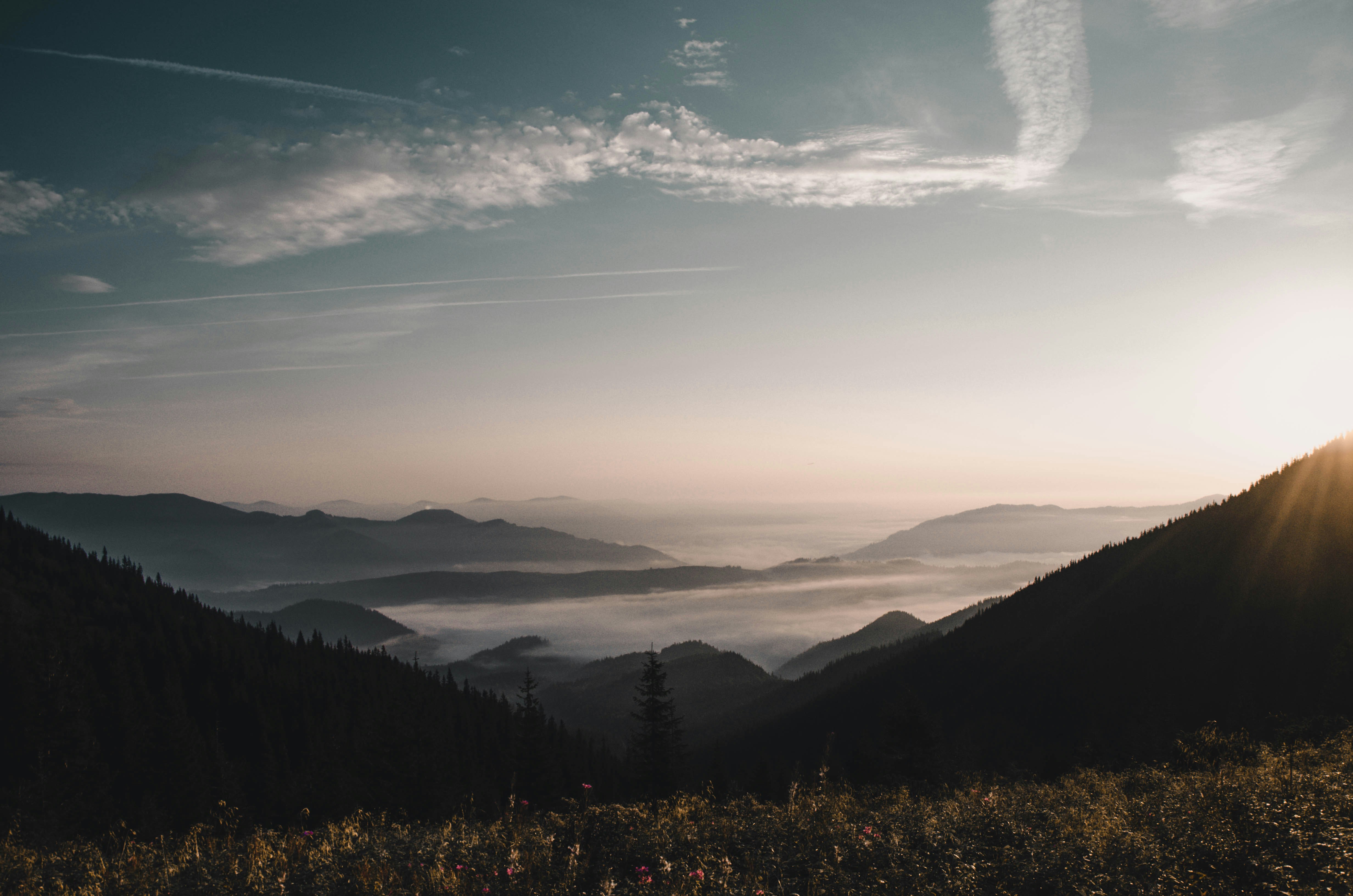 Photo by bullettrainnnnn