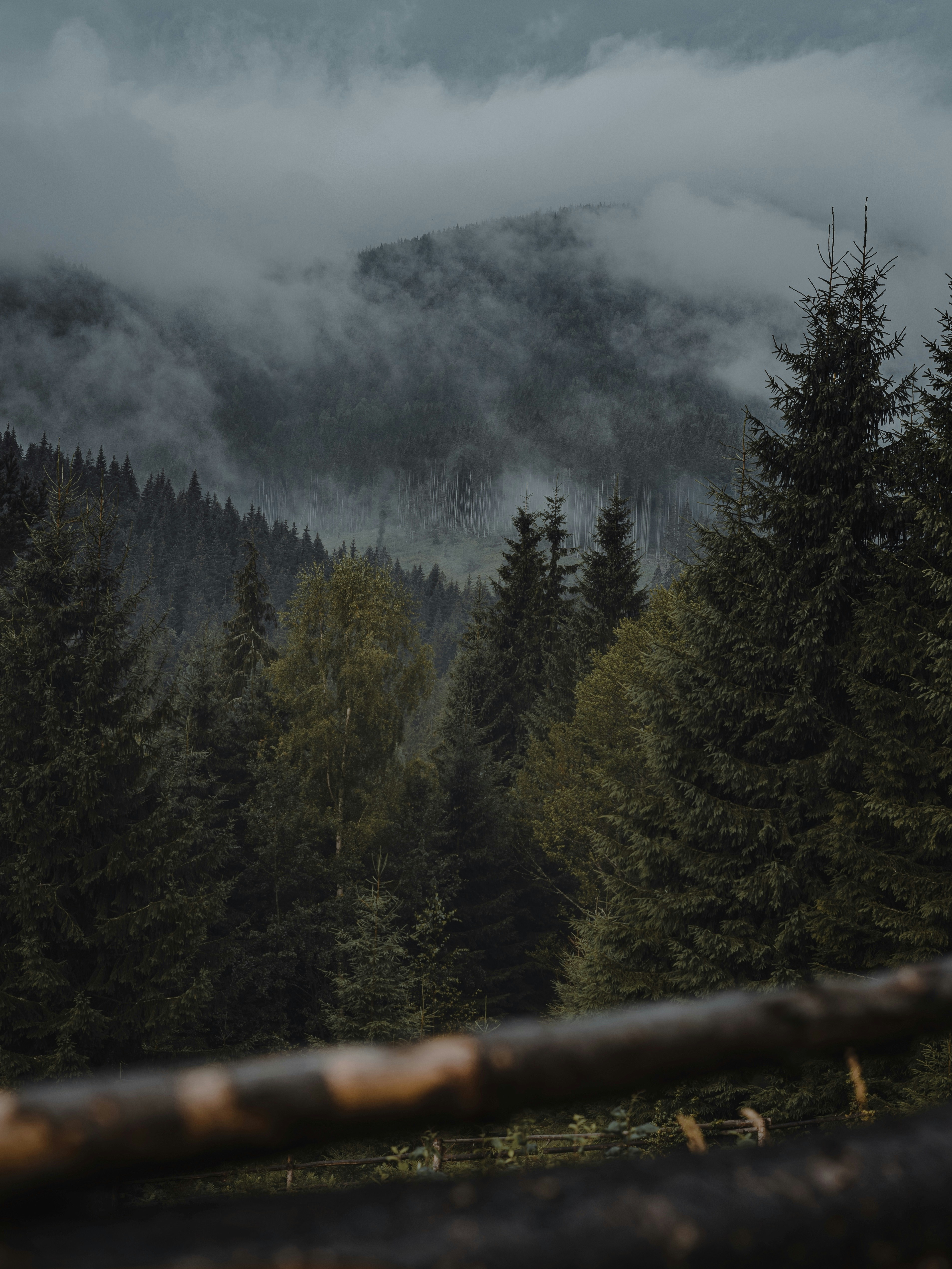 Photo by bullettrainnnnn