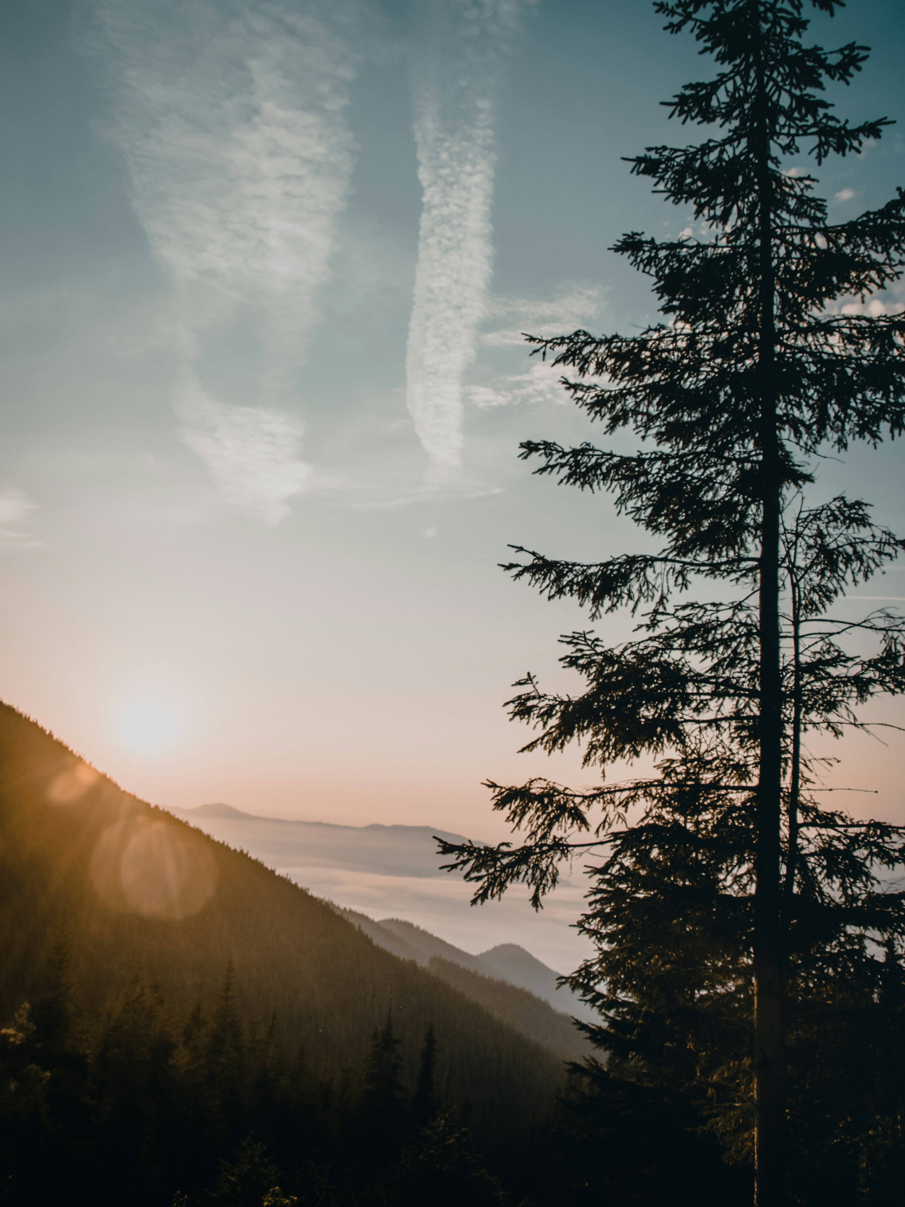 Photo by bullettrainnnnn