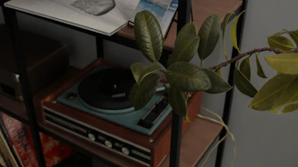 Artistic shot of a Village Sounds speaker perched on a rustic wooden shelf surrounded by plants.