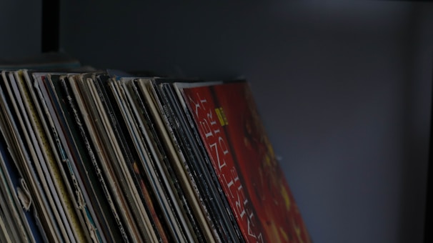 A collection of vinyl records neatly lined up on a shelf, showcasing various album covers with different colors and designs. The lighting is dim, casting a muted and nostalgic atmosphere.