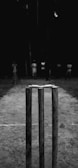 grayscale photo of wooden poles