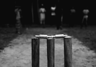 grayscale photo of wooden poles