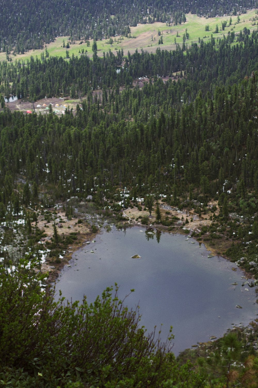 a small lake surrounded by trees in the middle of a forest