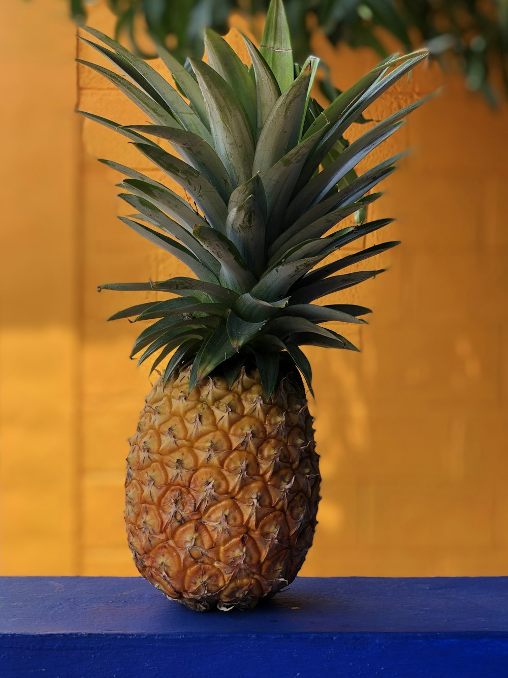 pineapple fruit in yellow background
