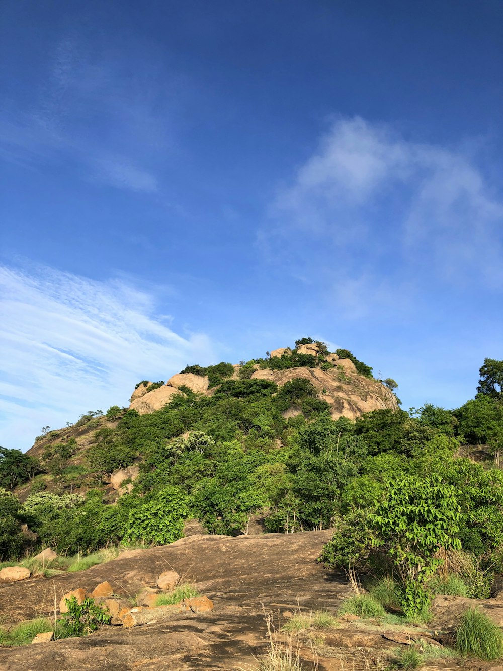 green trees on brown mountain under blue sky during daytime