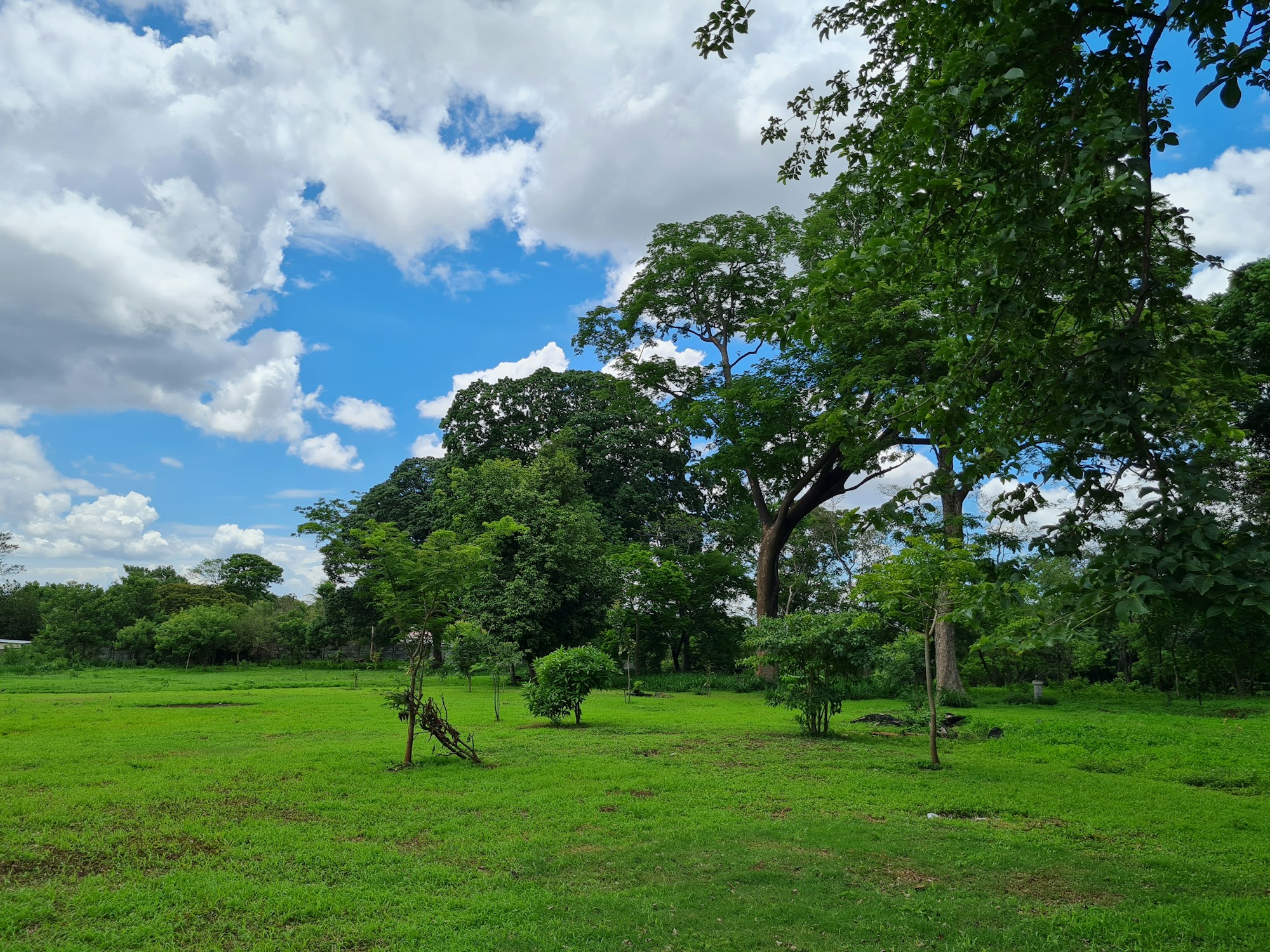 Exploring Managua: Culture, Traditions & Festivals