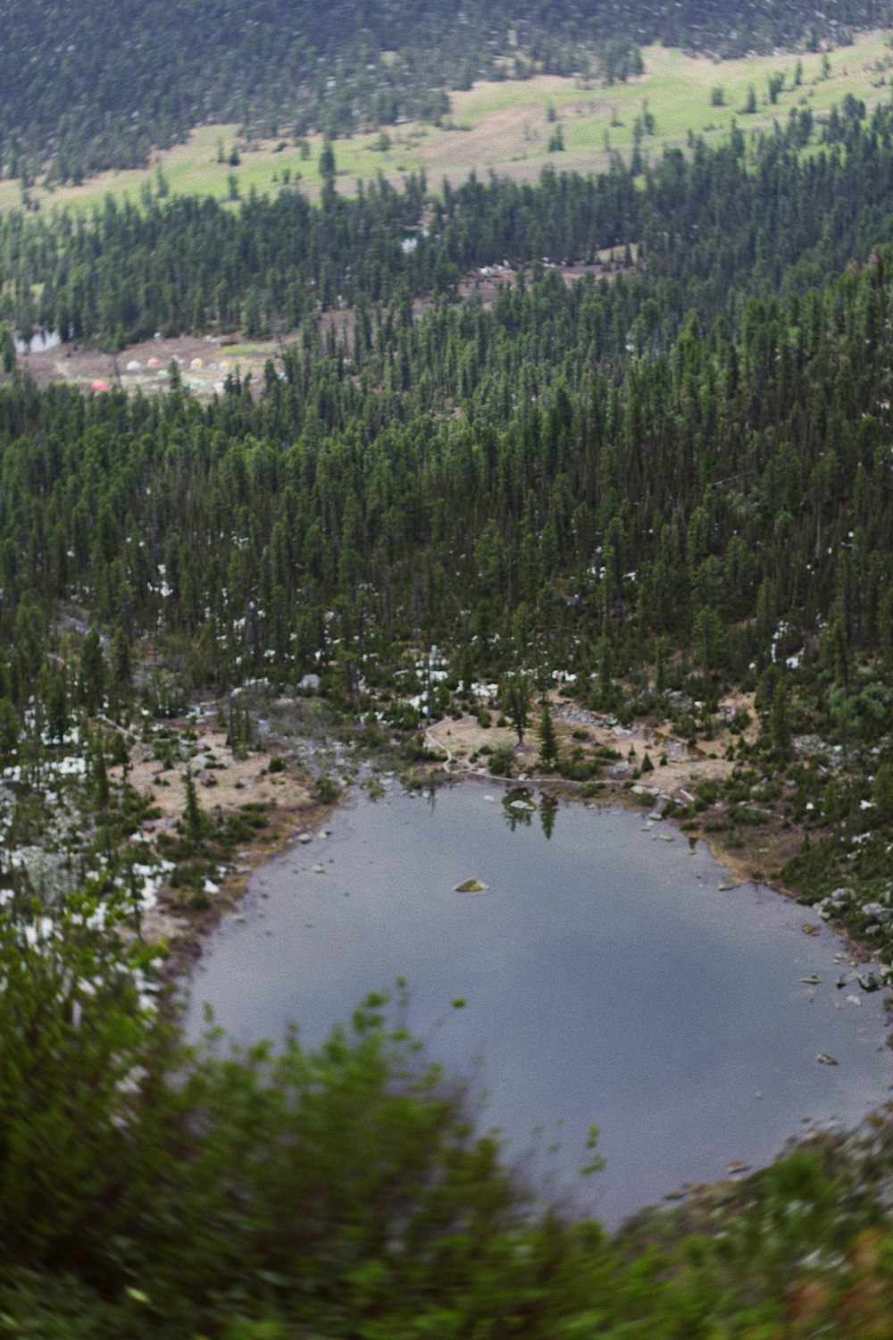 a small lake surrounded by trees in the middle of a forest