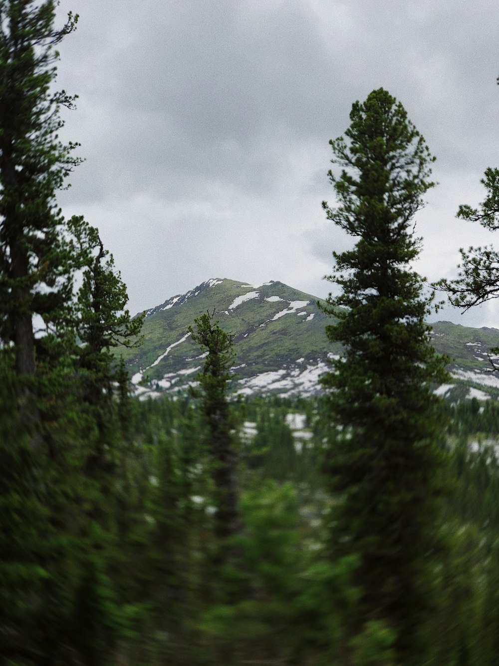 a view of a mountain through the trees