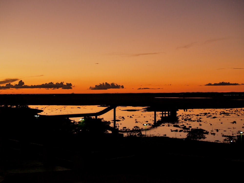 silhouette of trees near body of water during sunset