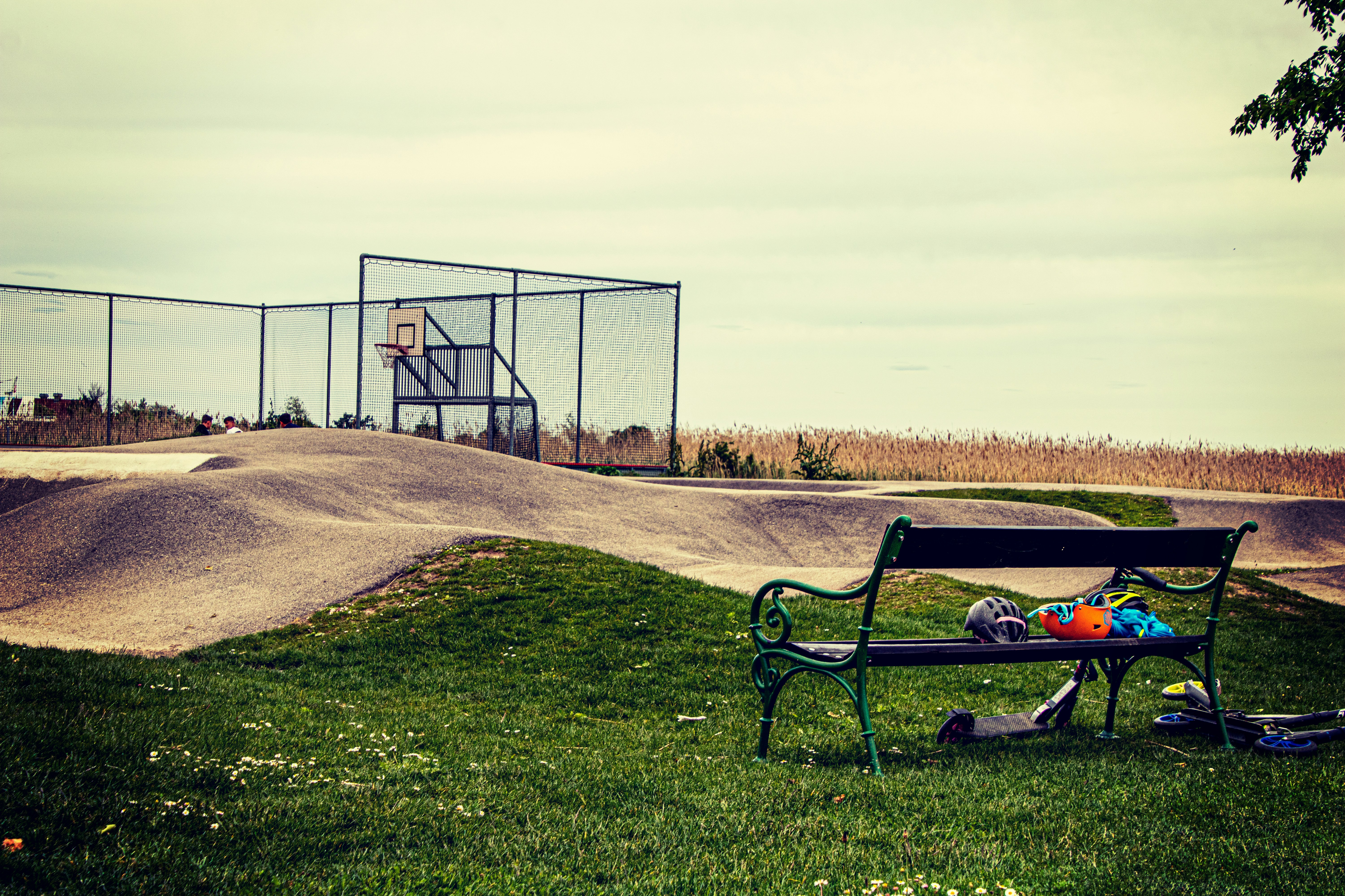 black wooden bench on green grass field near black metal fence during daytime