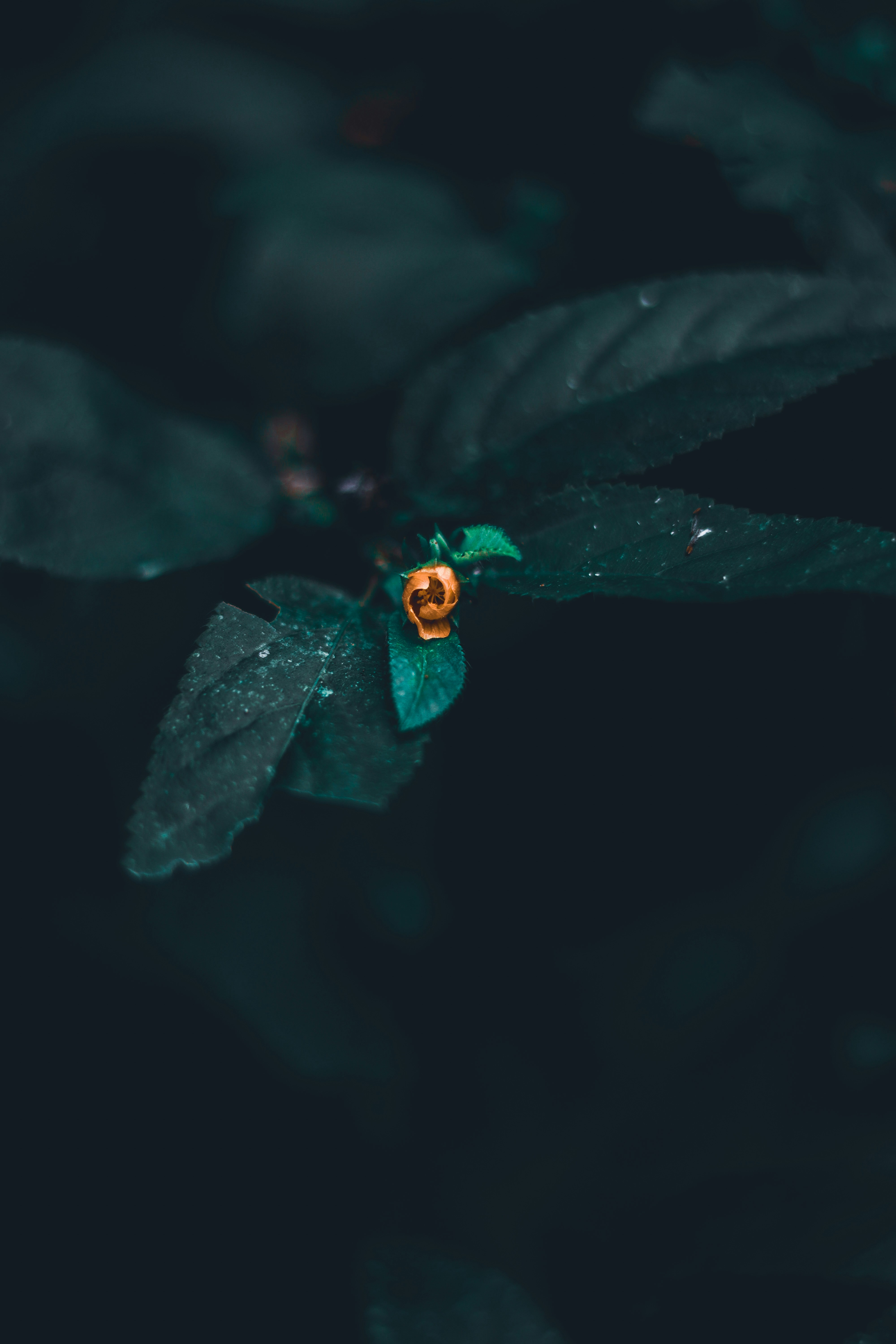 Photo by gabrielfotos