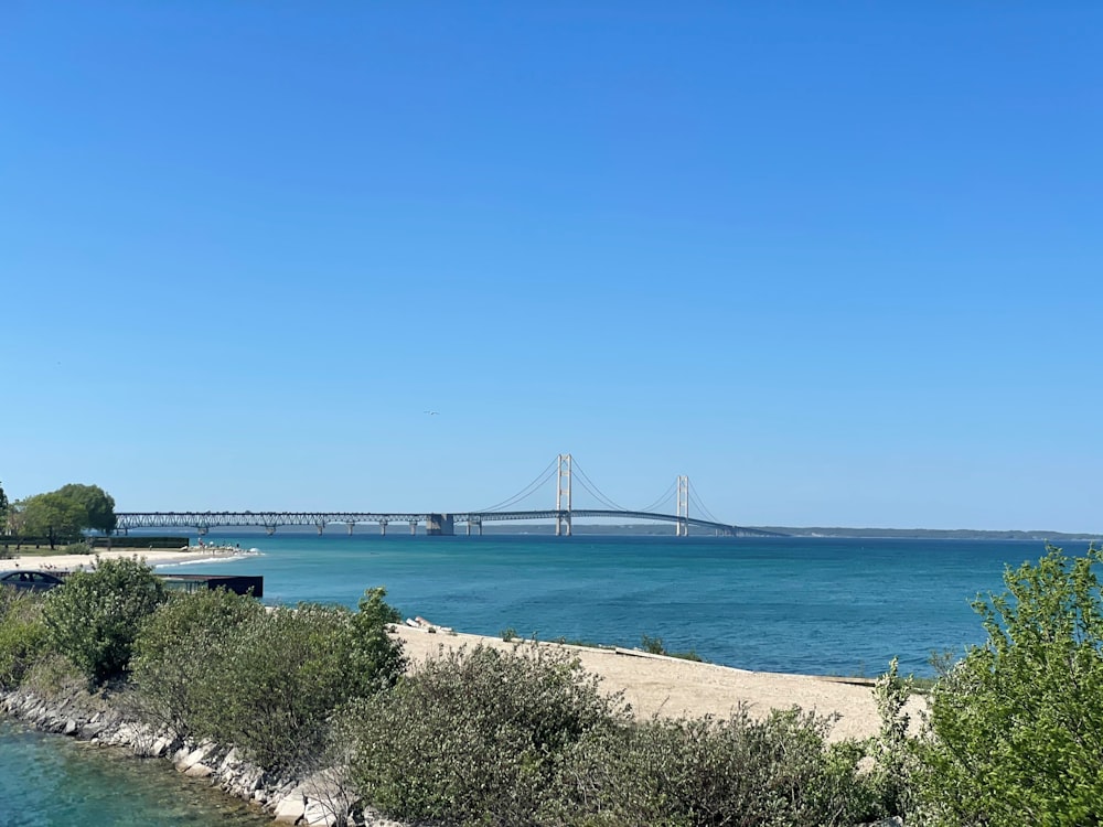 bridge over the sea during daytime