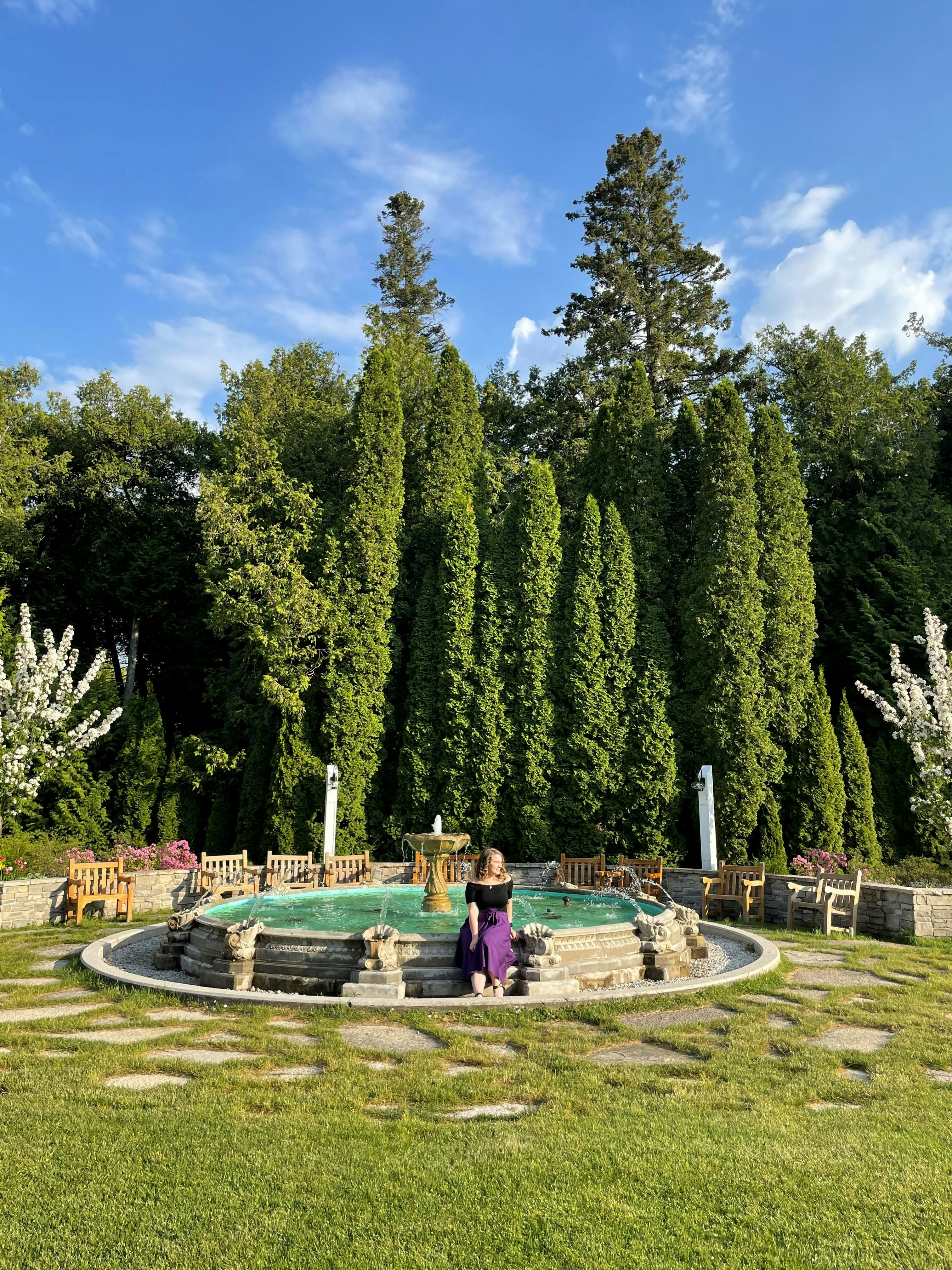 people sitting on bench near green trees during daytime