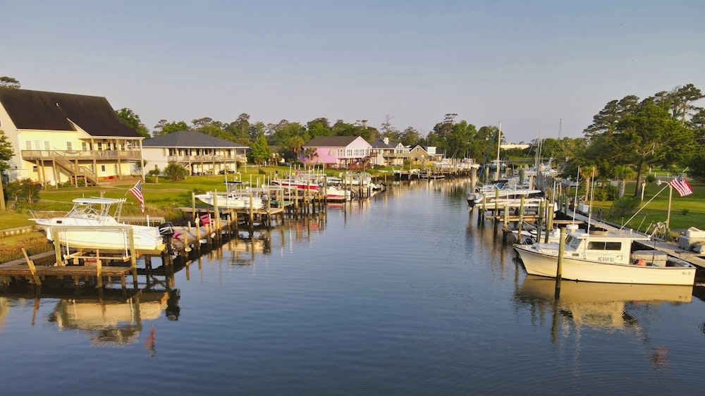 boats on dock during daytime