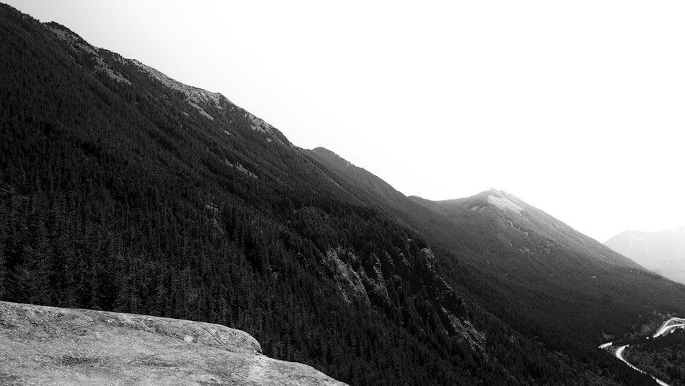 grayscale photo of mountains and trees