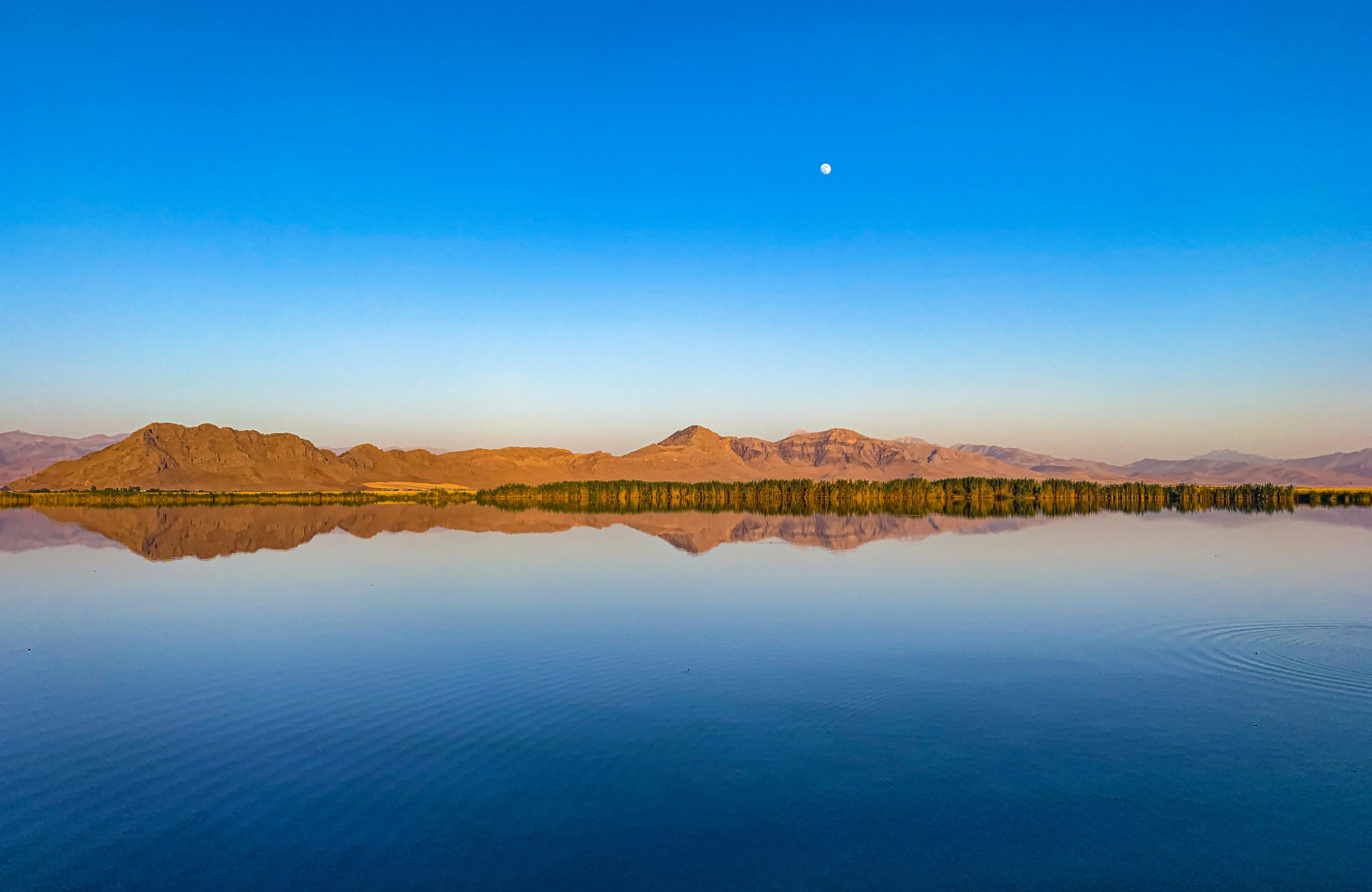 Paysage paisible avec un plan d'eau bleu clair situé près des montagnes sous un ciel bleu dégagé